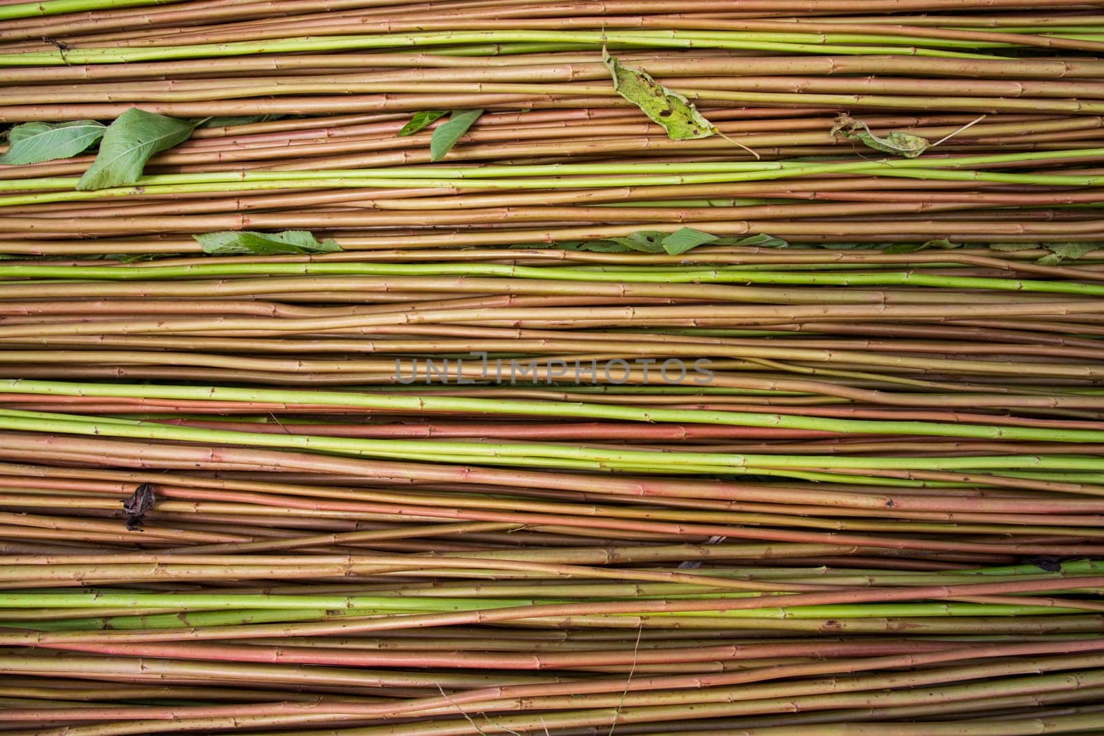 Red Green Raw Jute Texture background. This is the Called Golden Fiber in Bangladesh