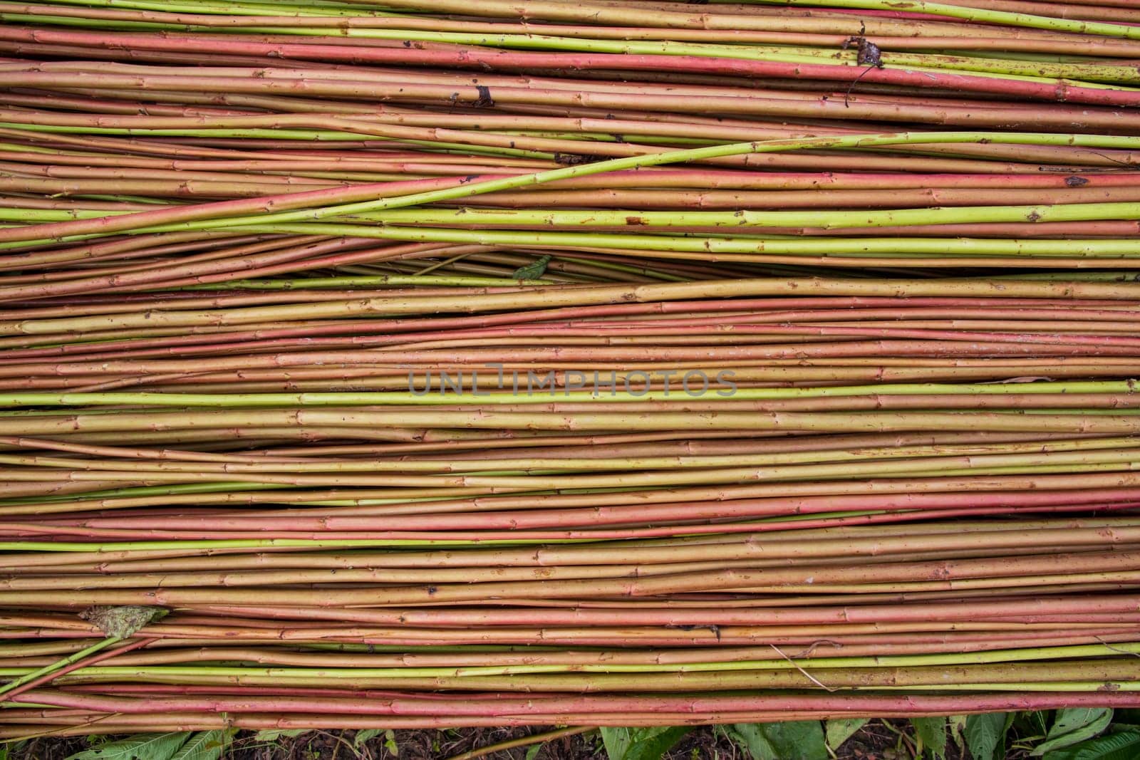 Red Green Raw Jute Texture background. This is the Called Golden Fiber in Bangladesh