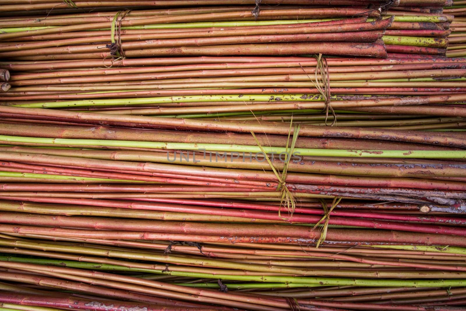 Red Green Raw Jute Texture background. This is the Called Golden Fiber in Bangladesh