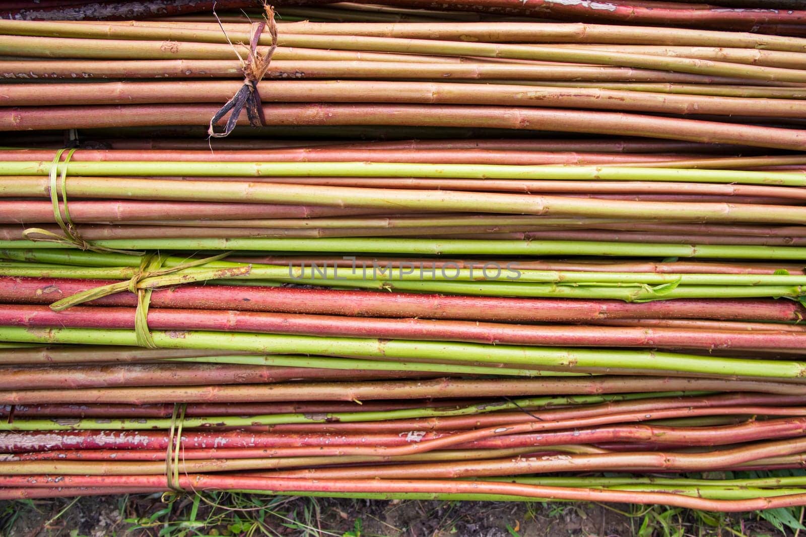 Red Green Raw Jute Texture background. This is the Called Golden Fiber in Bangladesh