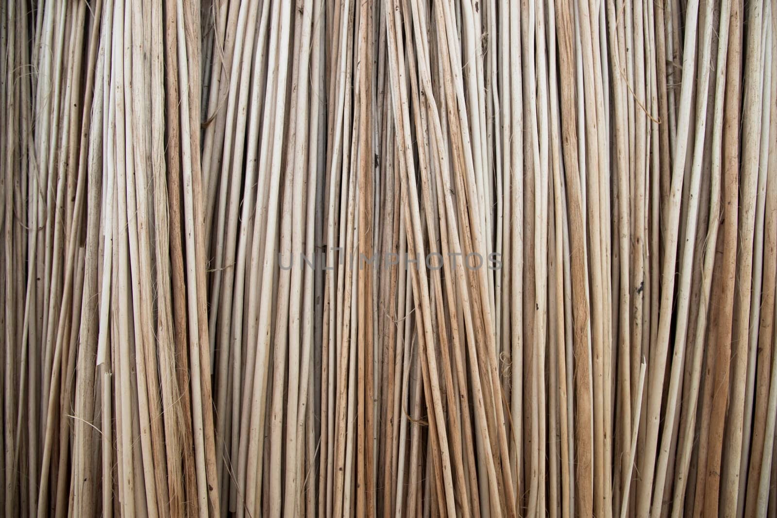 Rows and Rows of brown Jute Sticks Texture background of a field