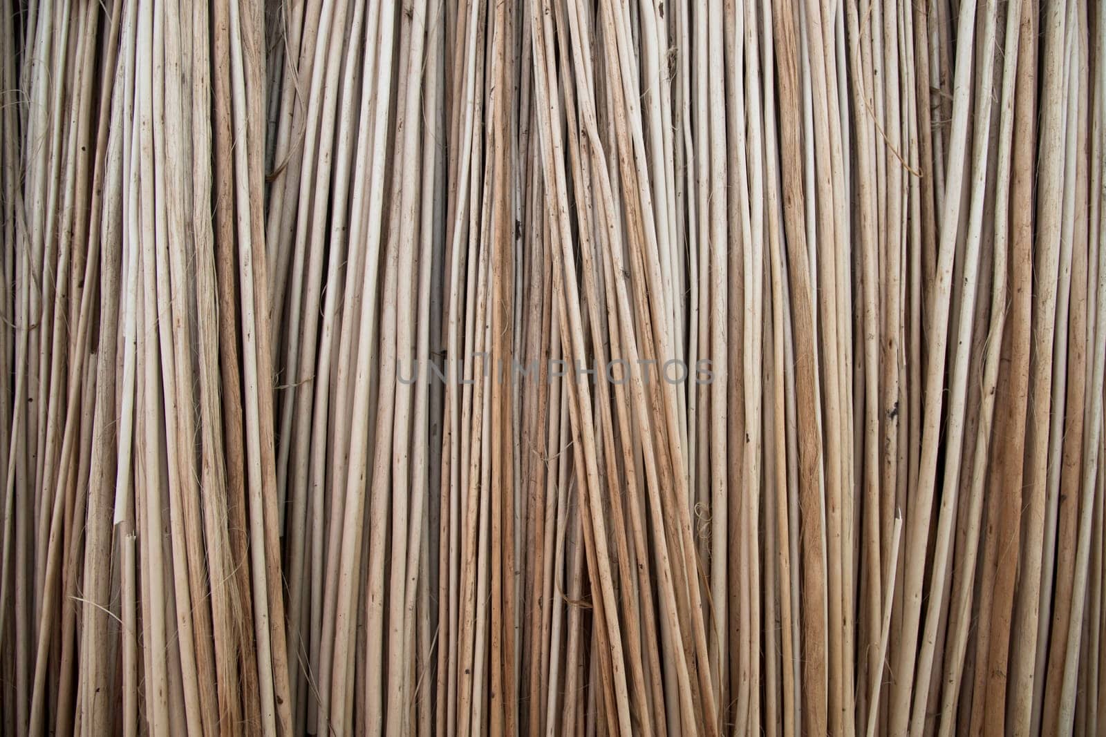 Rows and Rows of brown Jute Sticks Texture background of a field