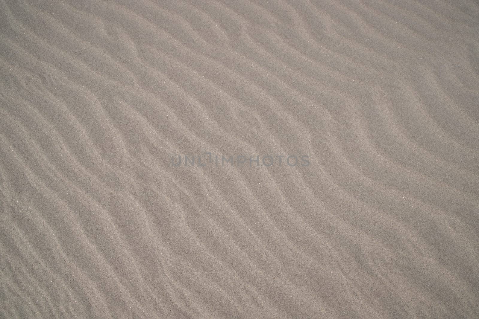 sand texture. wavy sand textured background. sand textured beach