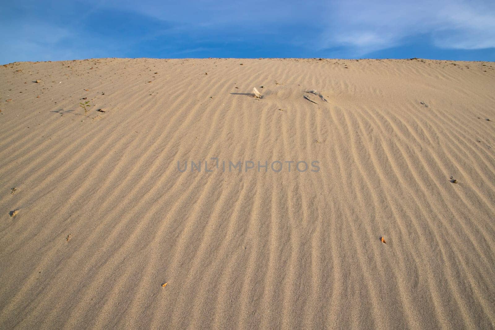 sand texture. wavy sand textured background. sand textured beach