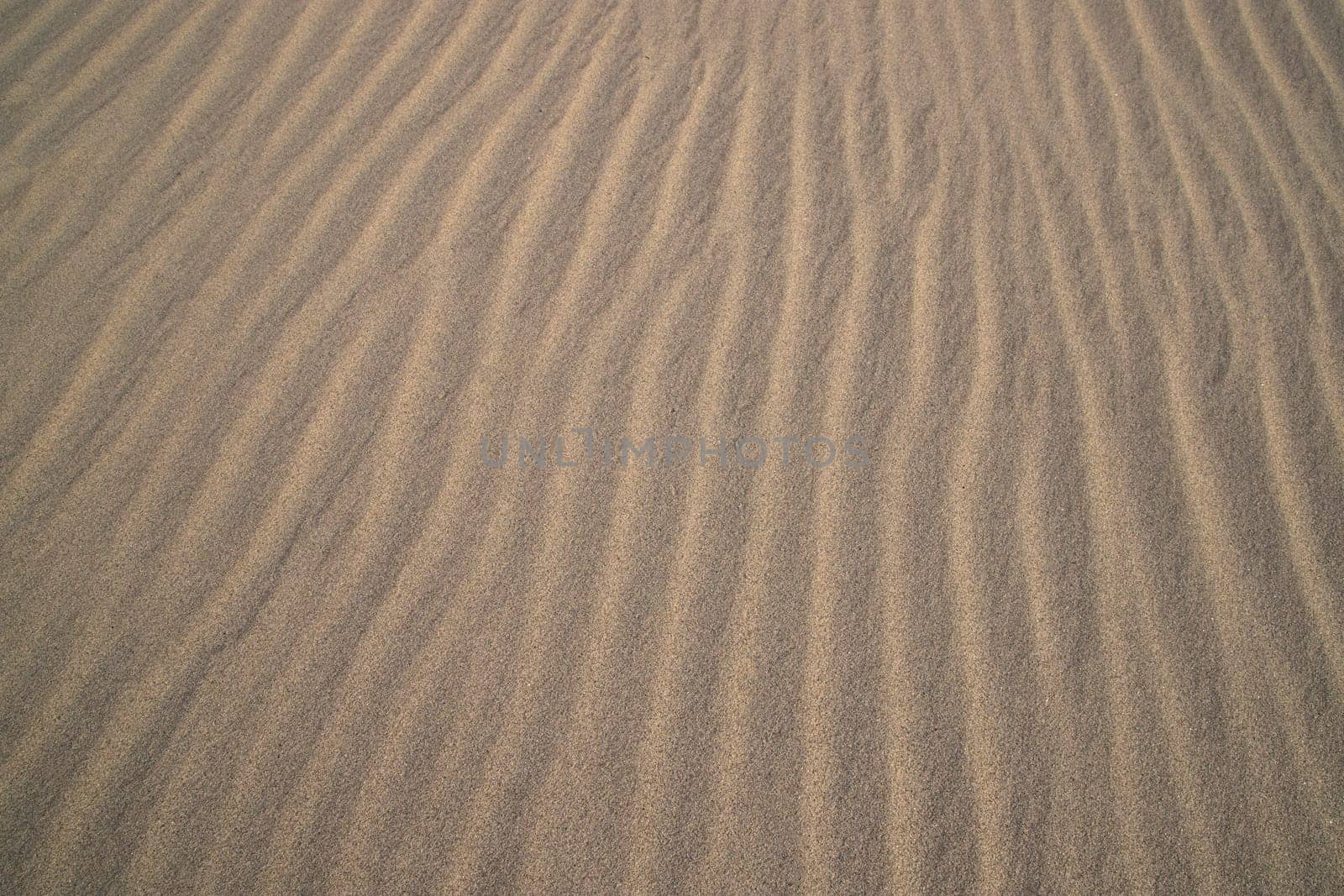sand texture. wavy sand textured background. sand textured beach