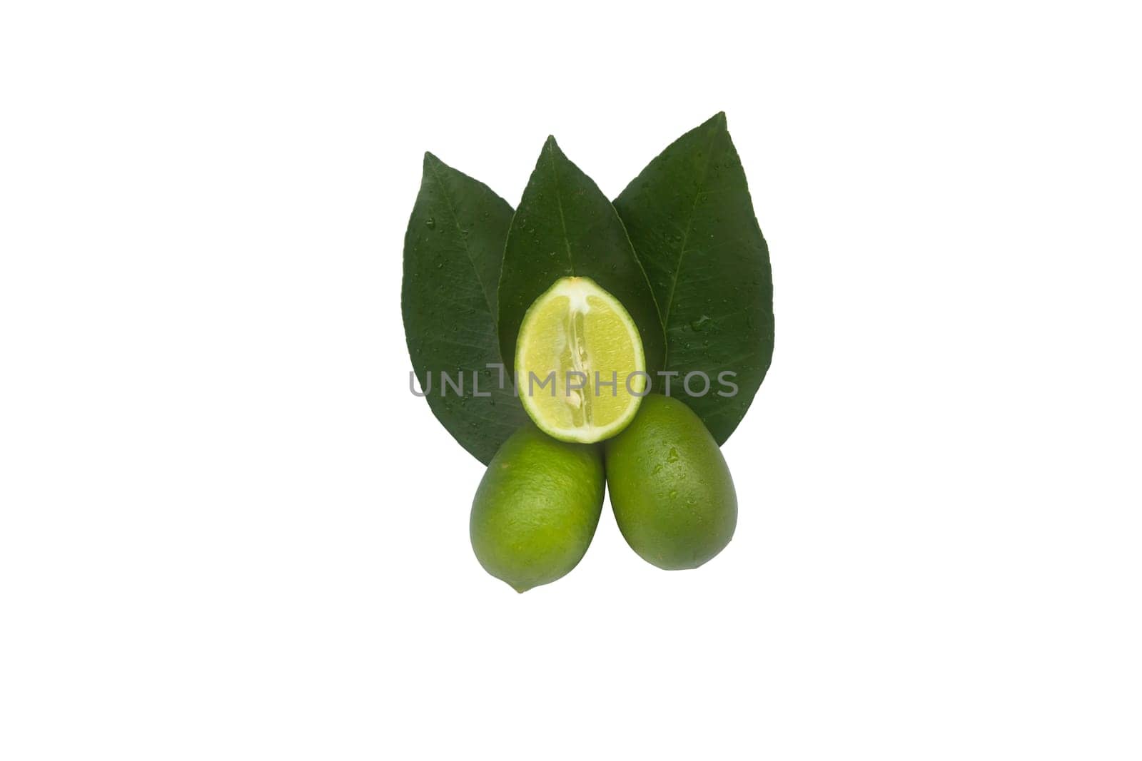 Fresh green lemon slice pieces with leaf isolated on white background