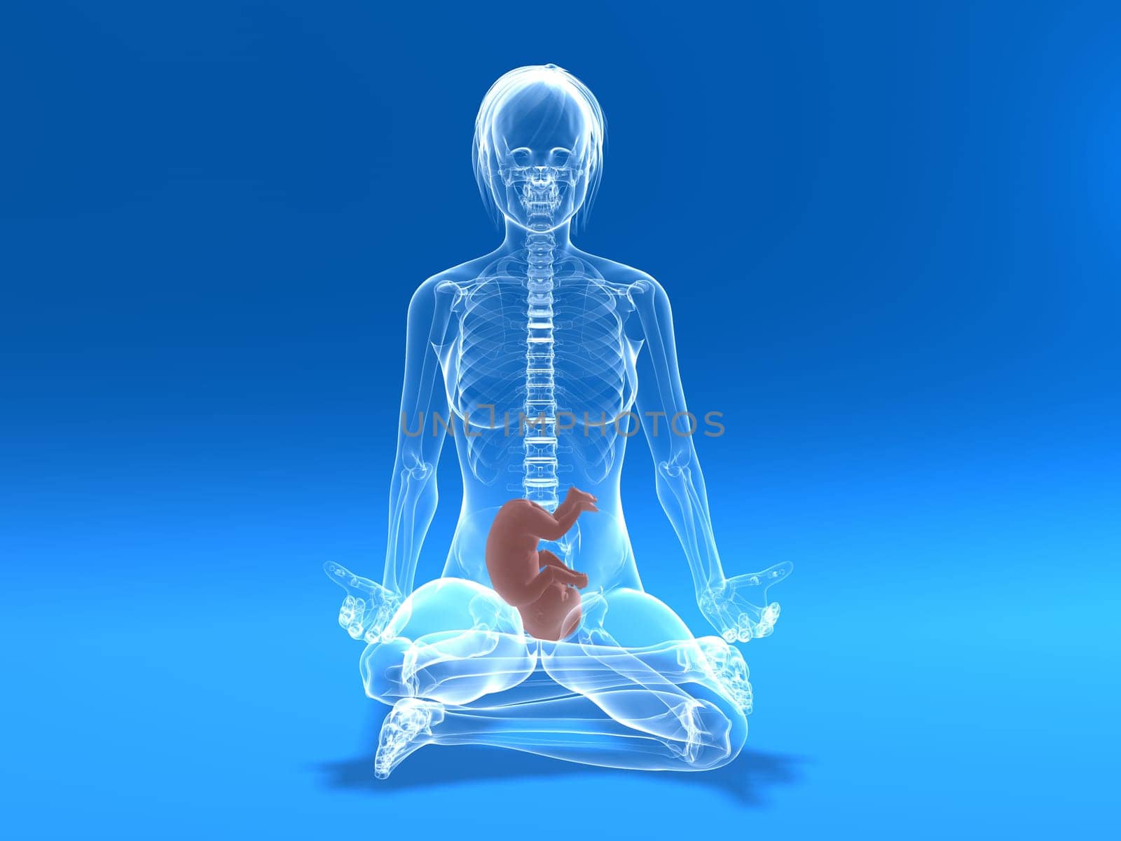3d rendered illustration of a sitting pregnant woman