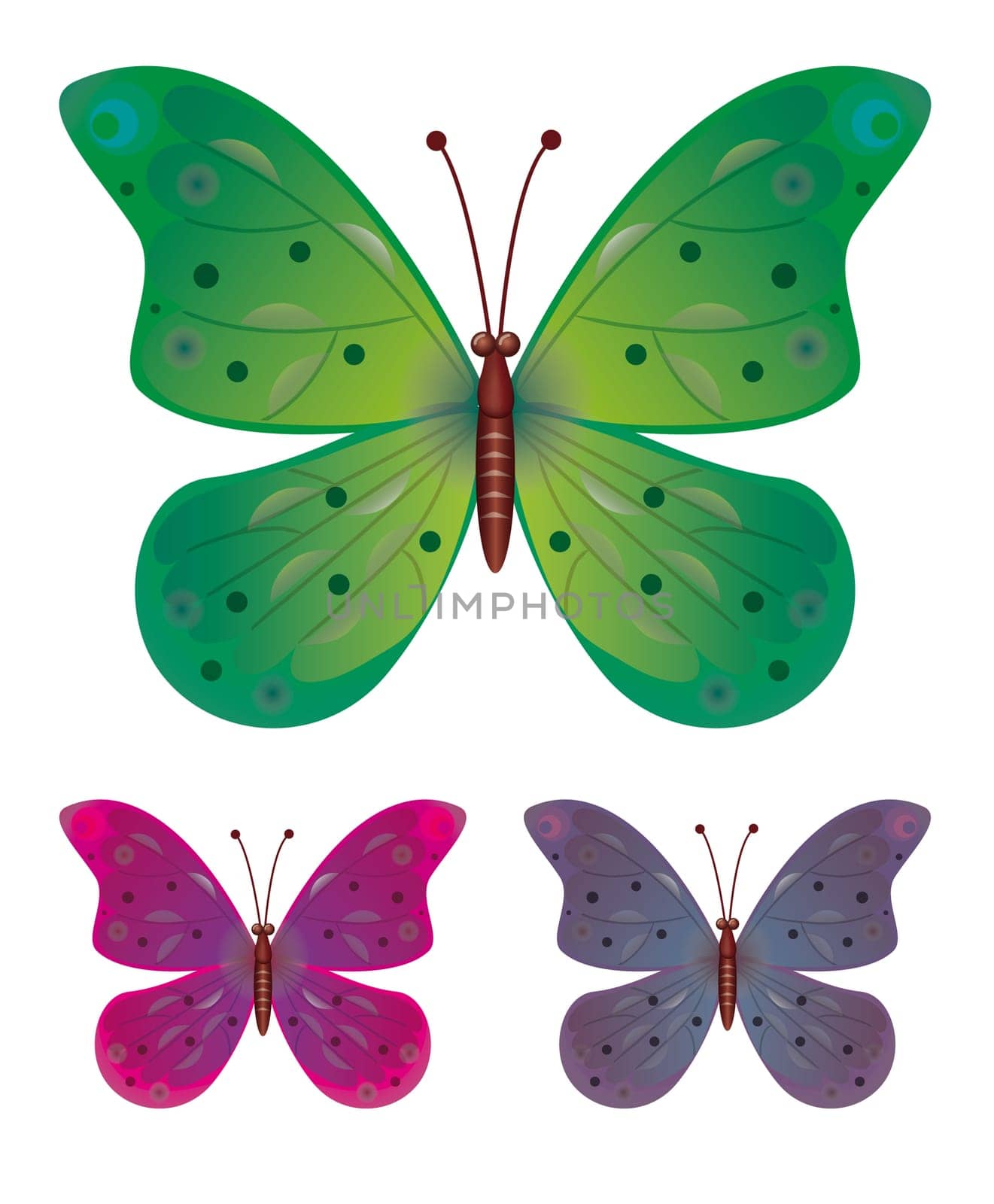 A collection of three butterflies. Vector EPS10