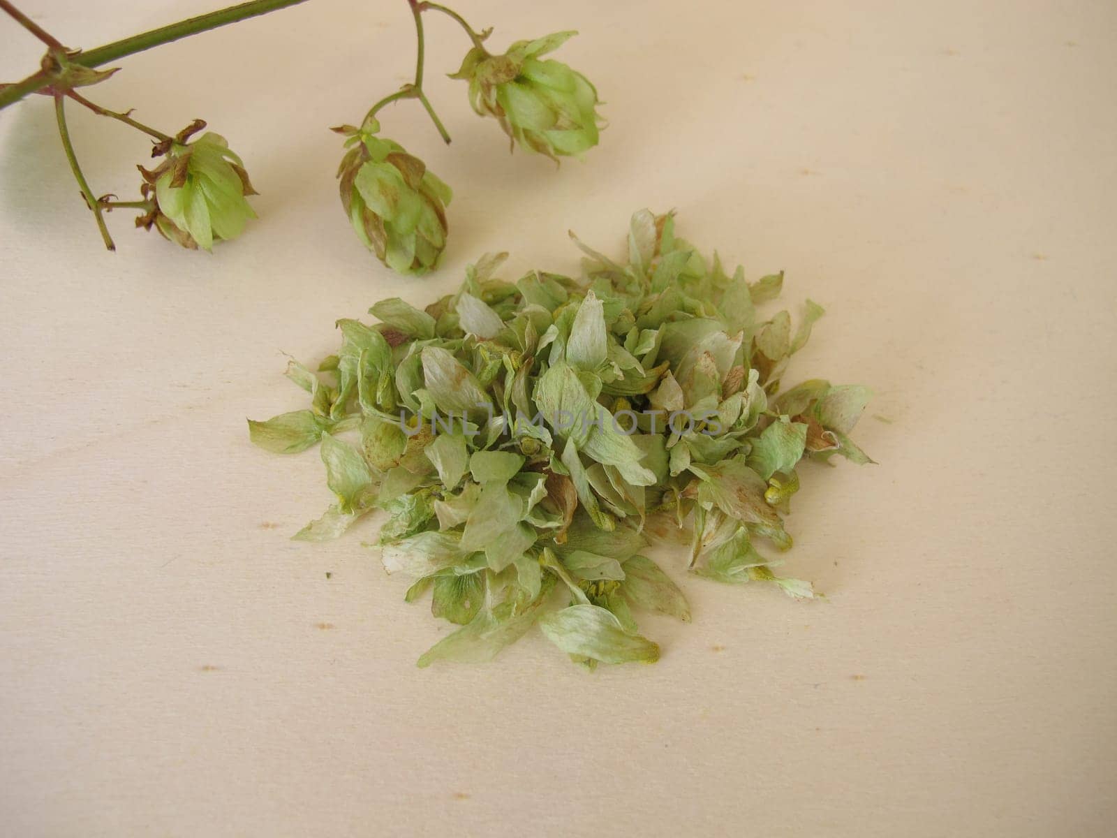 Dried hop flowers on a wooden board