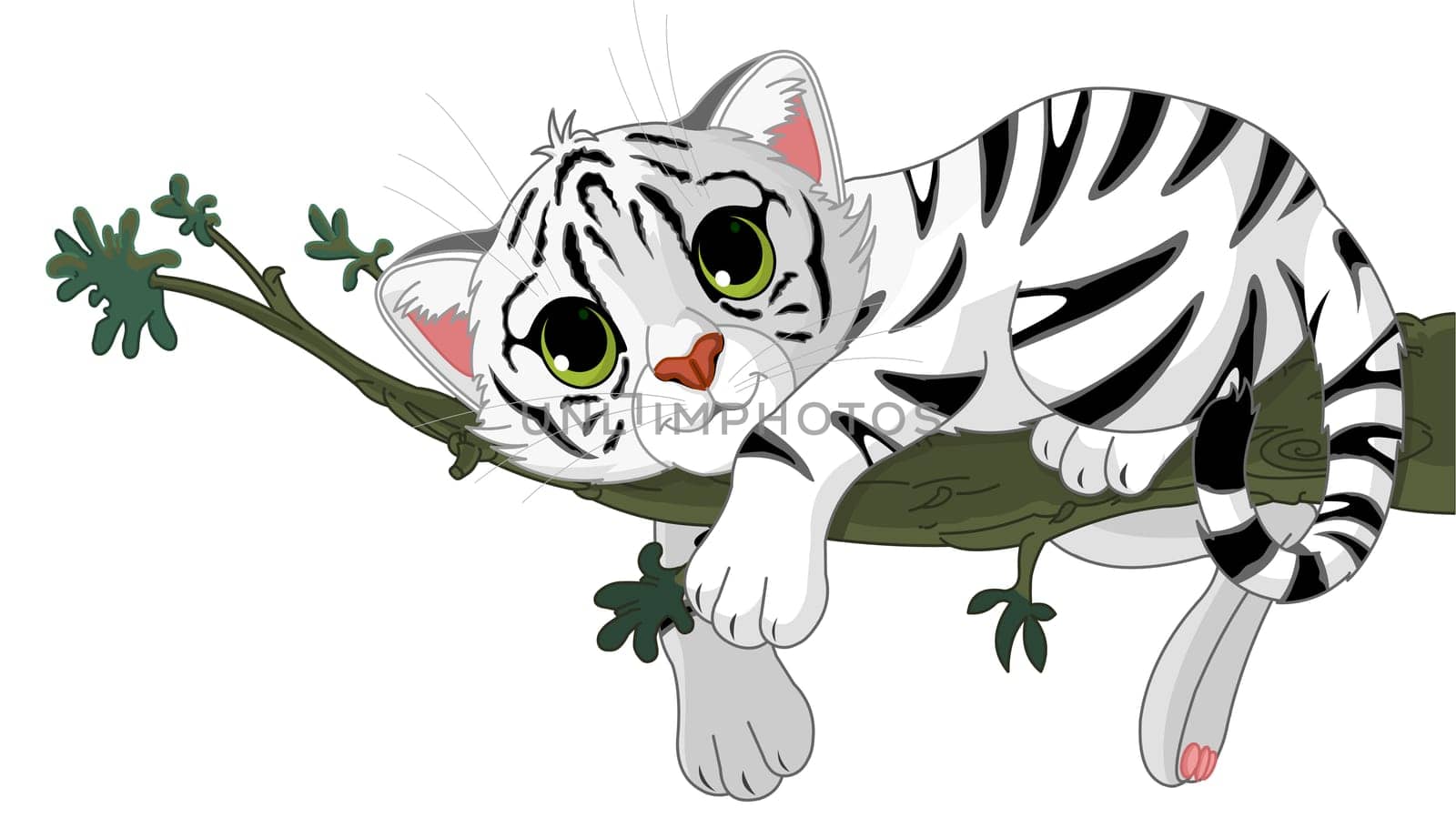 Cute white Tiger is on a branch