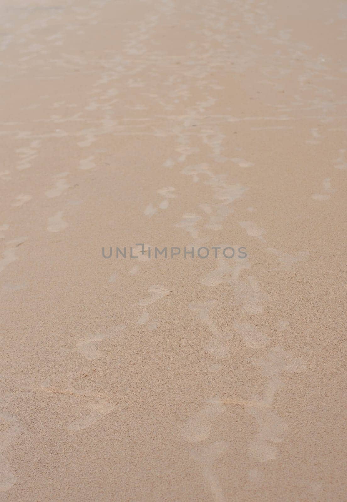 Footsteps on Sand. Footprints on Sandy Sea beach. Puri Orissa India.