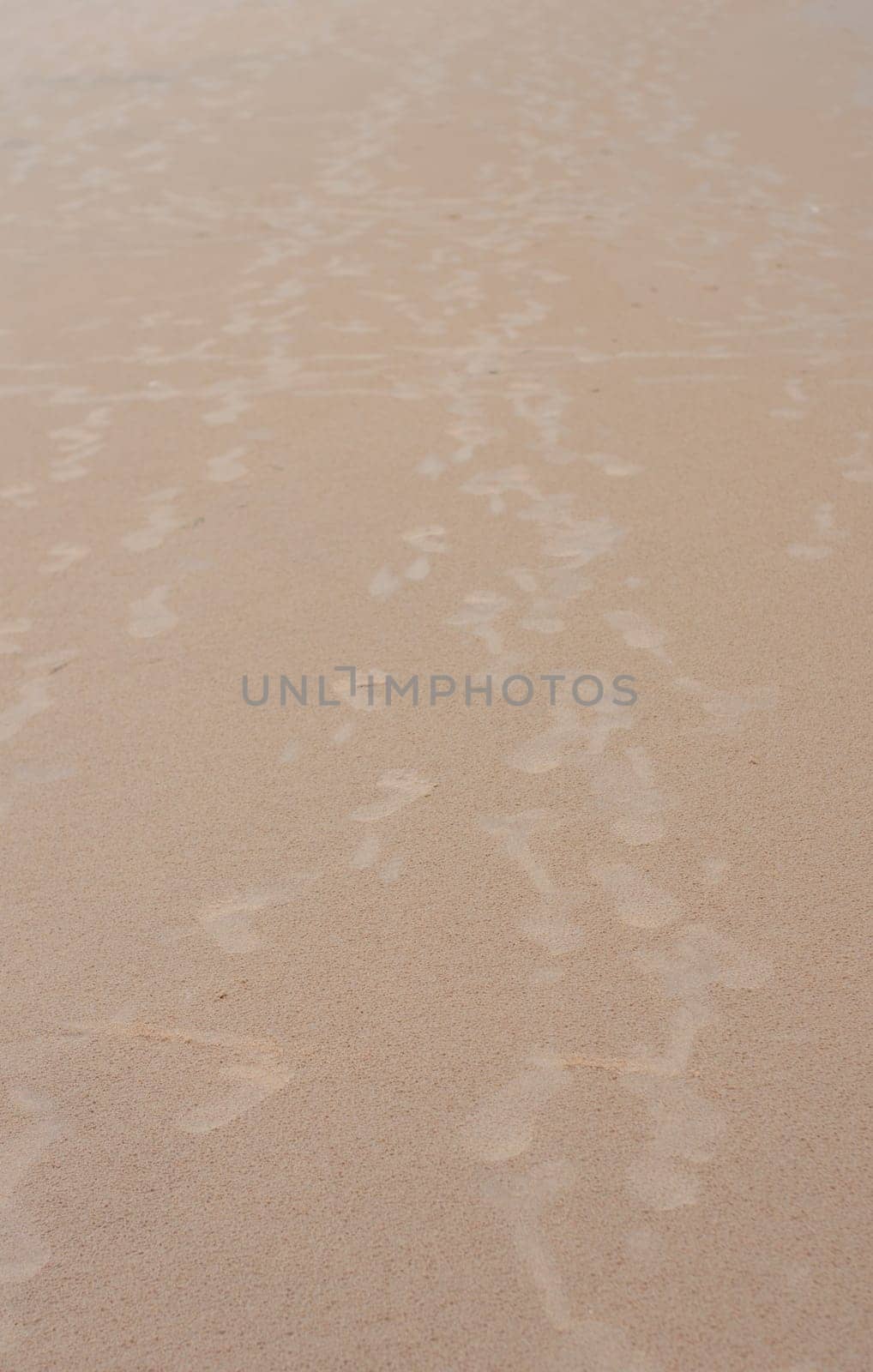 Footsteps on Sand. Footprints on Sandy Sea beach. Puri Orissa India.