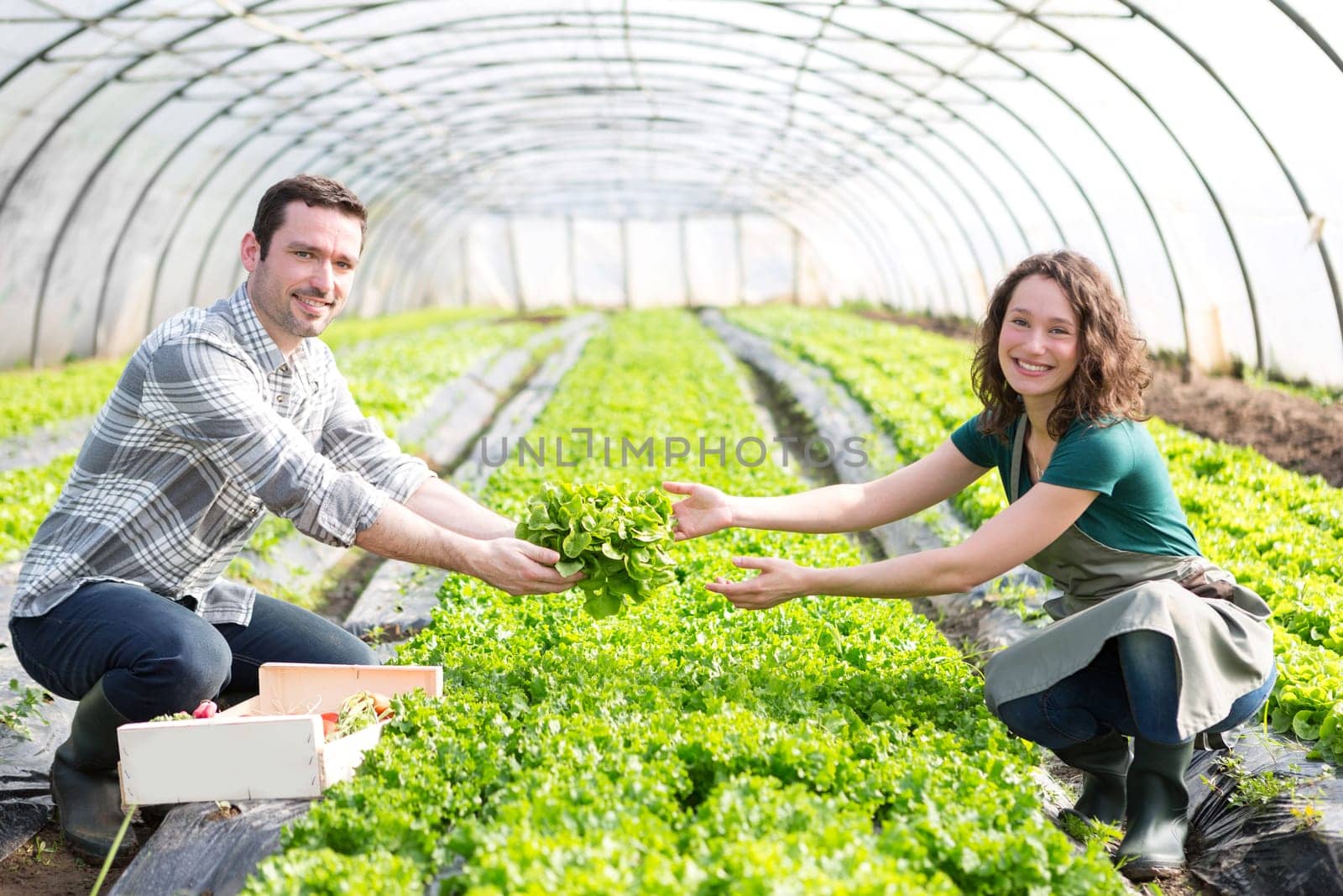 VIew of Framers working together on a greenhouse