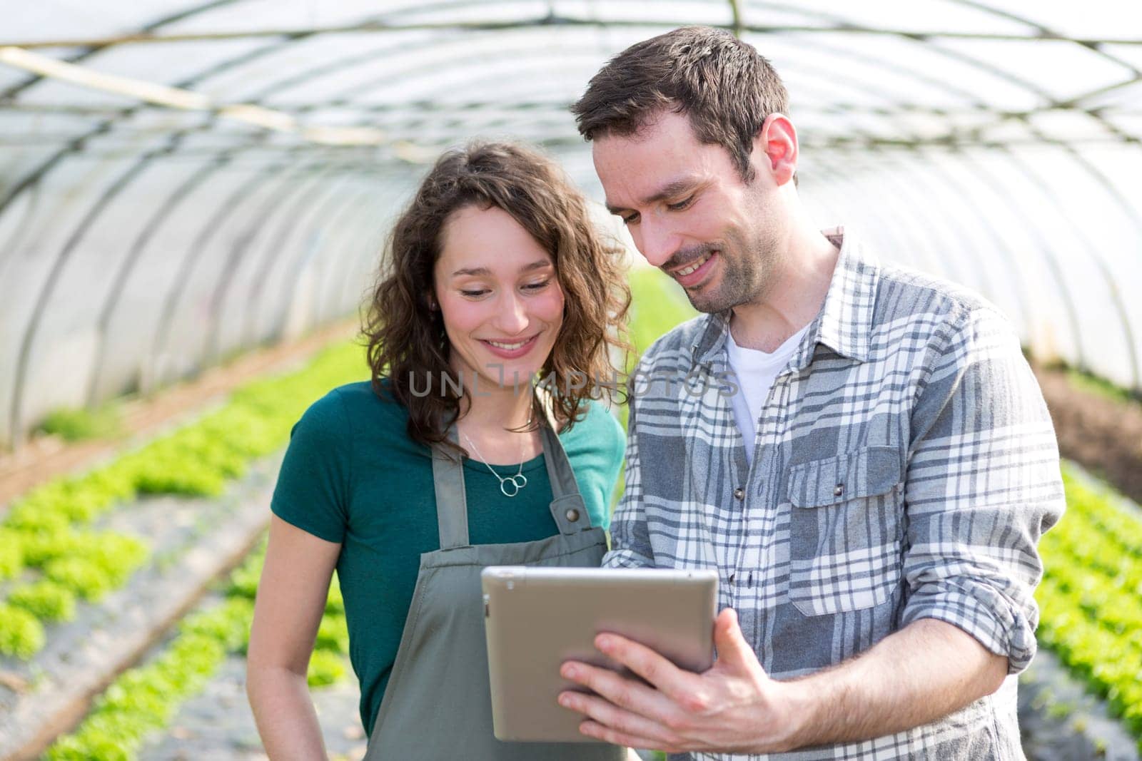 View of Farmers watching stats on tablet