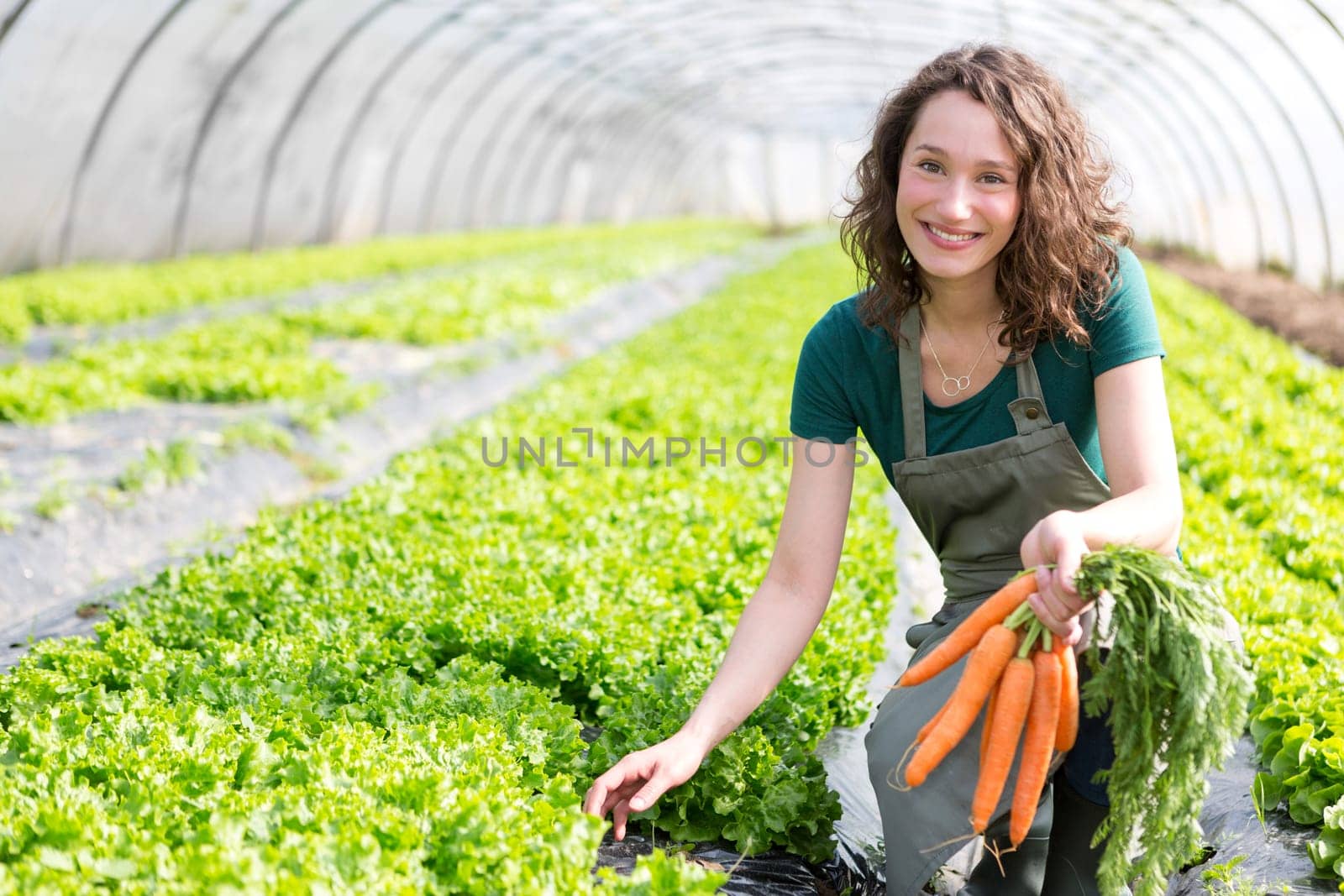 View of a Young attractive farmer harvesting carrots