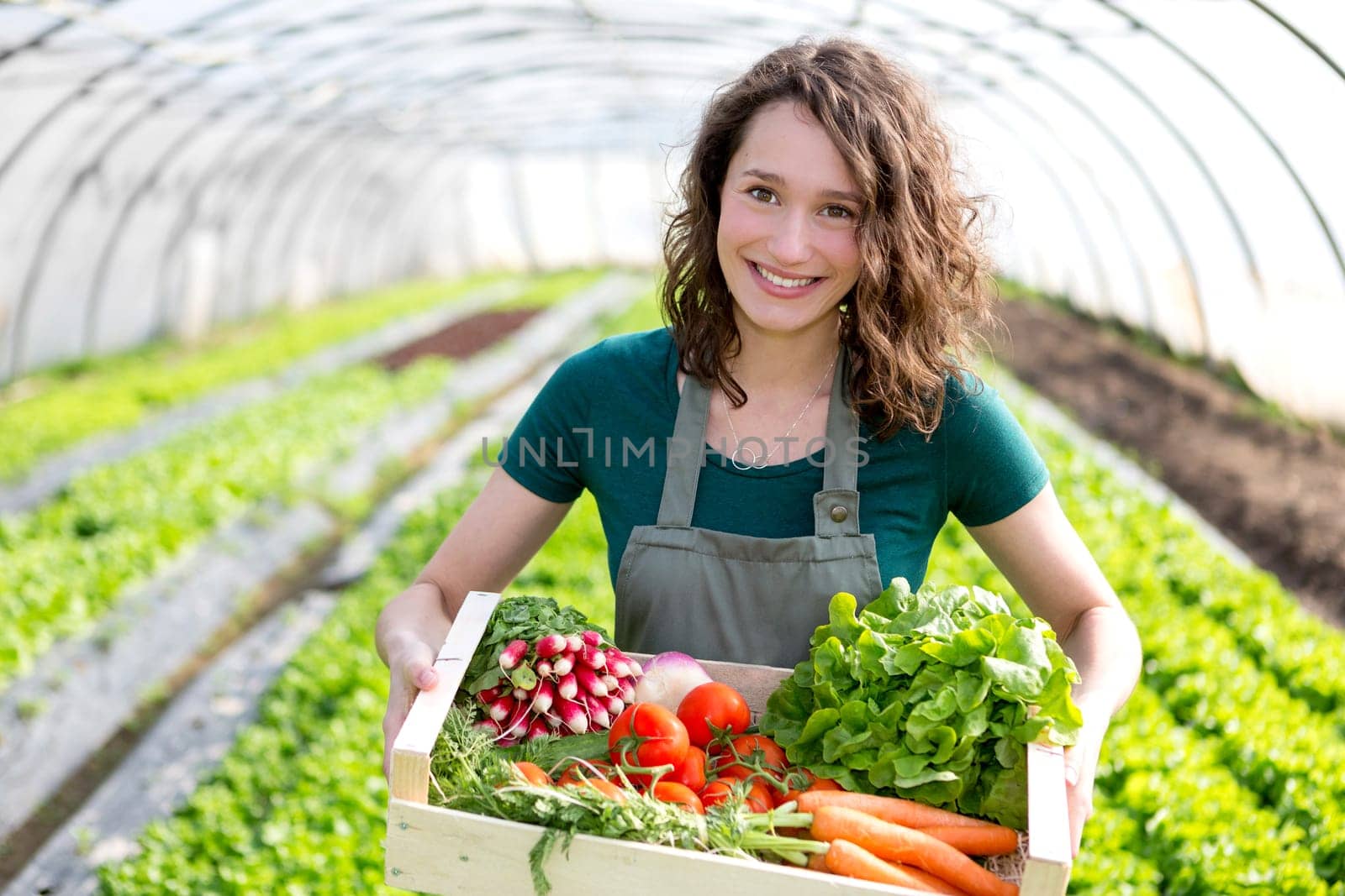 View of an Young attractive woman harvesting vegetable in a greenhouse