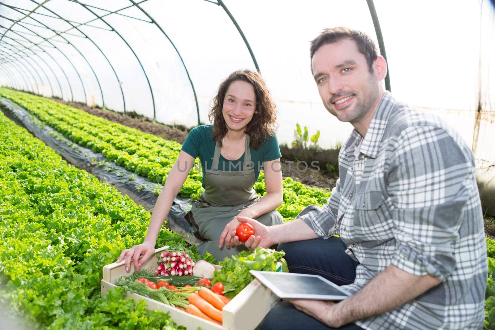 View of a Farmer teaching new employee to gardening
