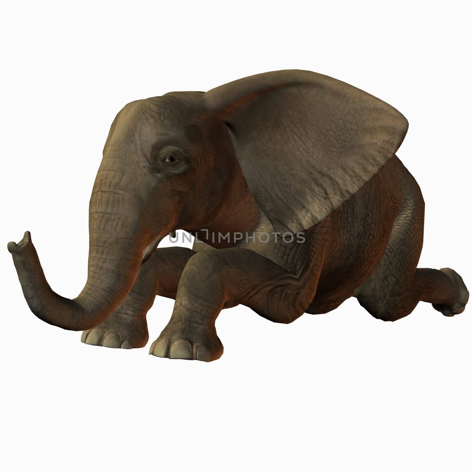 3D Render