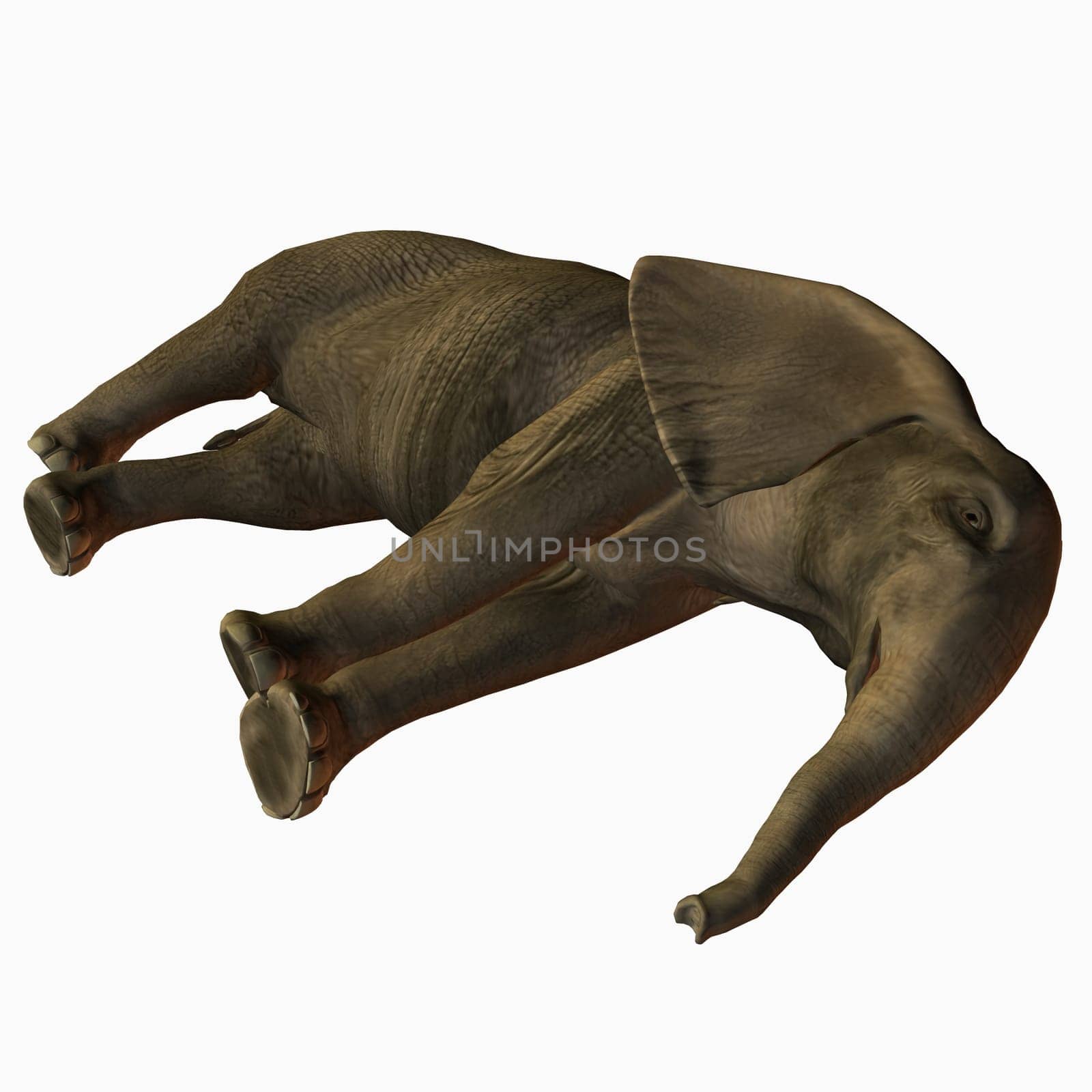 3D Render