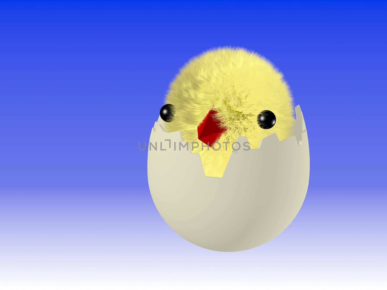 Easter egg with chicken. Please see some similar pictures from my portfolio:.