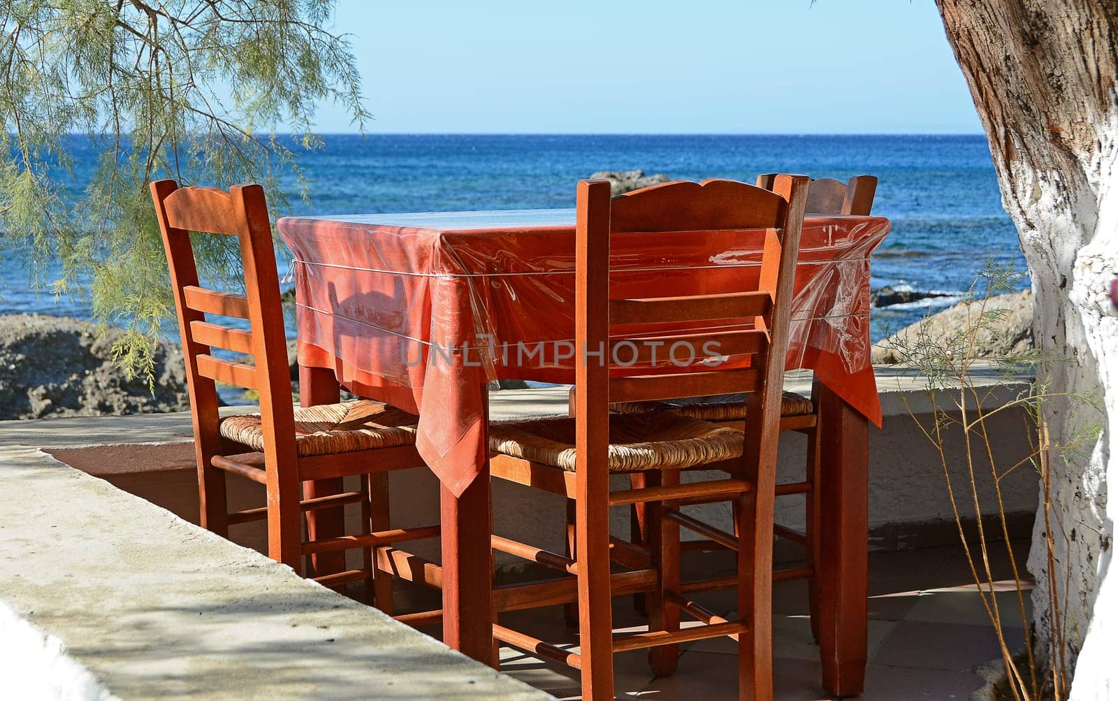 Taverna