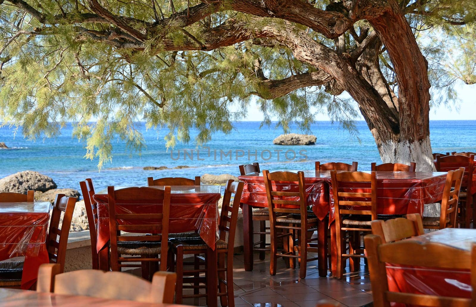 Taverna