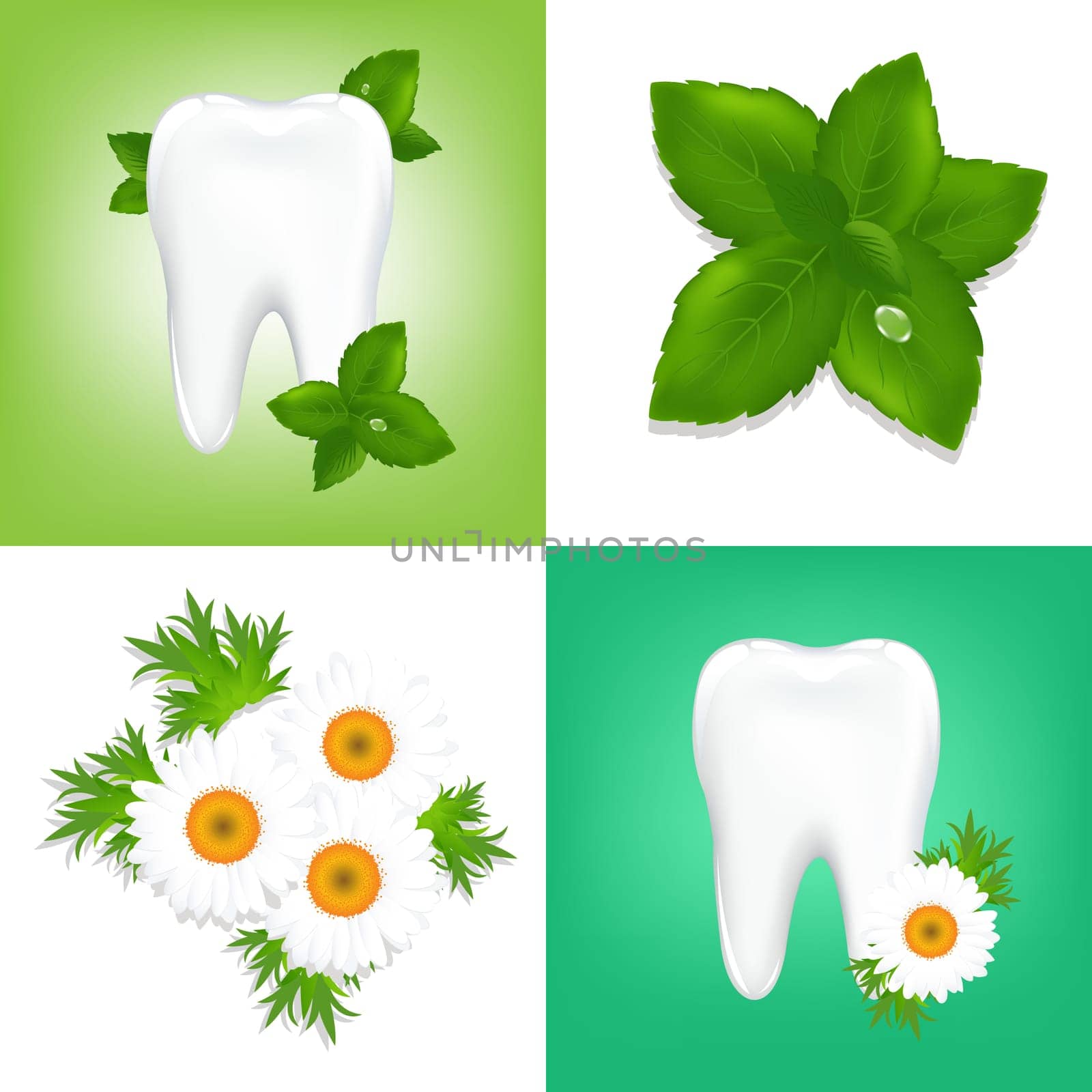 4 Design Elements On Stomatologic Theme, Vector Illustration