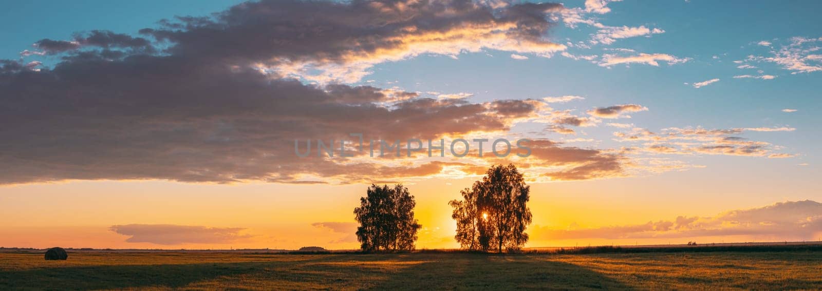 Sun Shining Through Tree Canopy. Trees Woods In Meadow During Sunset Sunrise. Bright Colorful Dramatic Sky And Dark Ground With Trees Silhouettes Landscape.