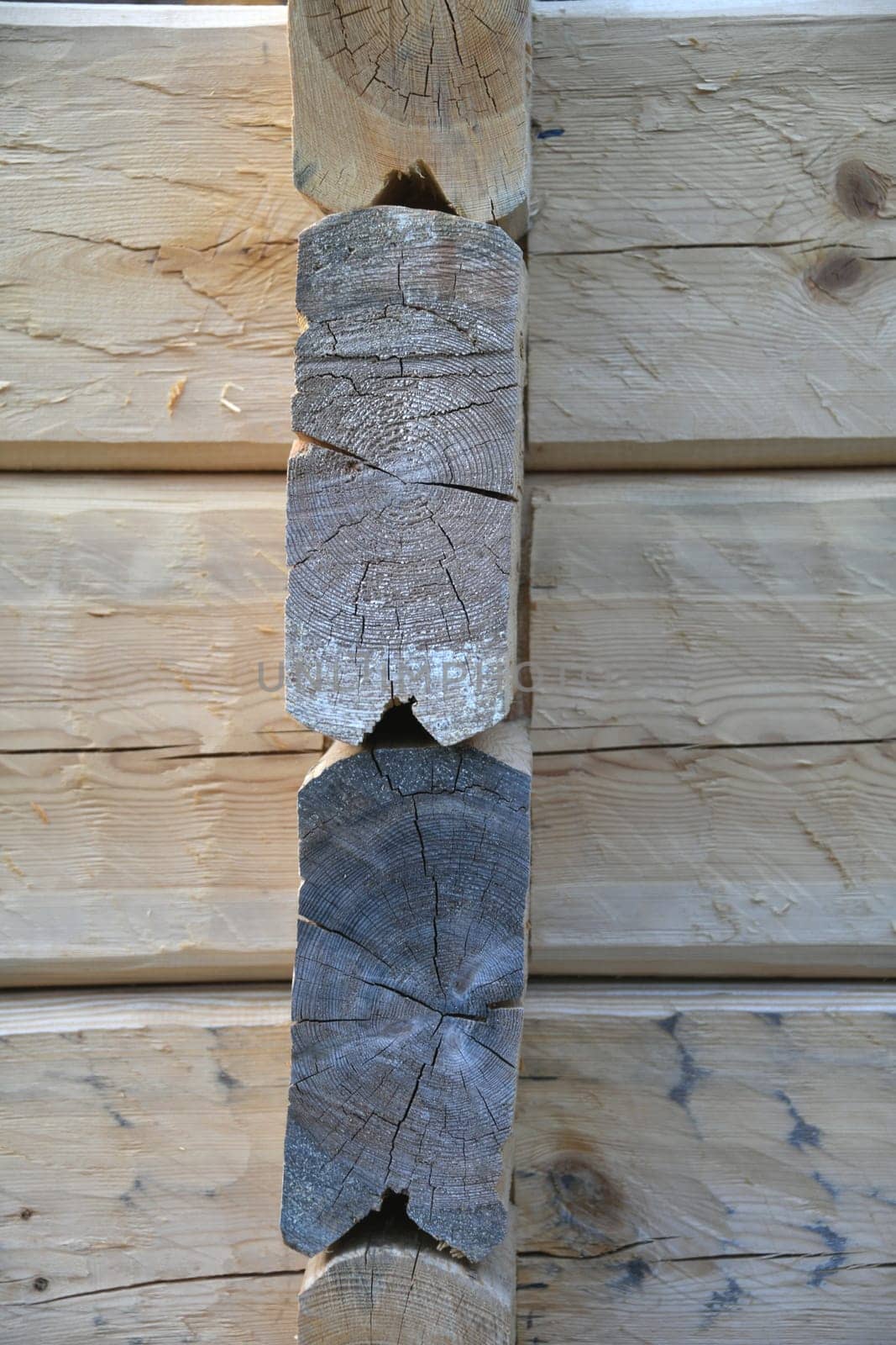 Tongue and groove on a log home. The walls are made of pine and the roof beams are made of the more flexible spruce. After assembly,the wood is painted with linseed oil,balsamic turpentine