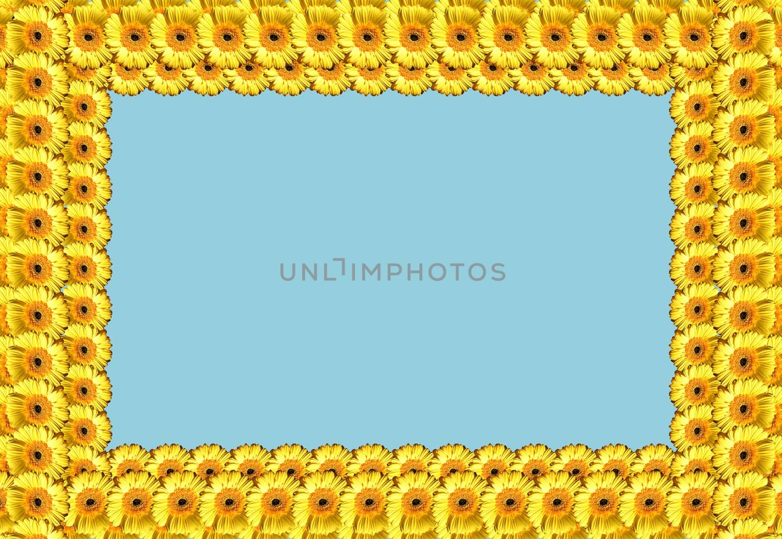 beautiful flowers abstract texture background