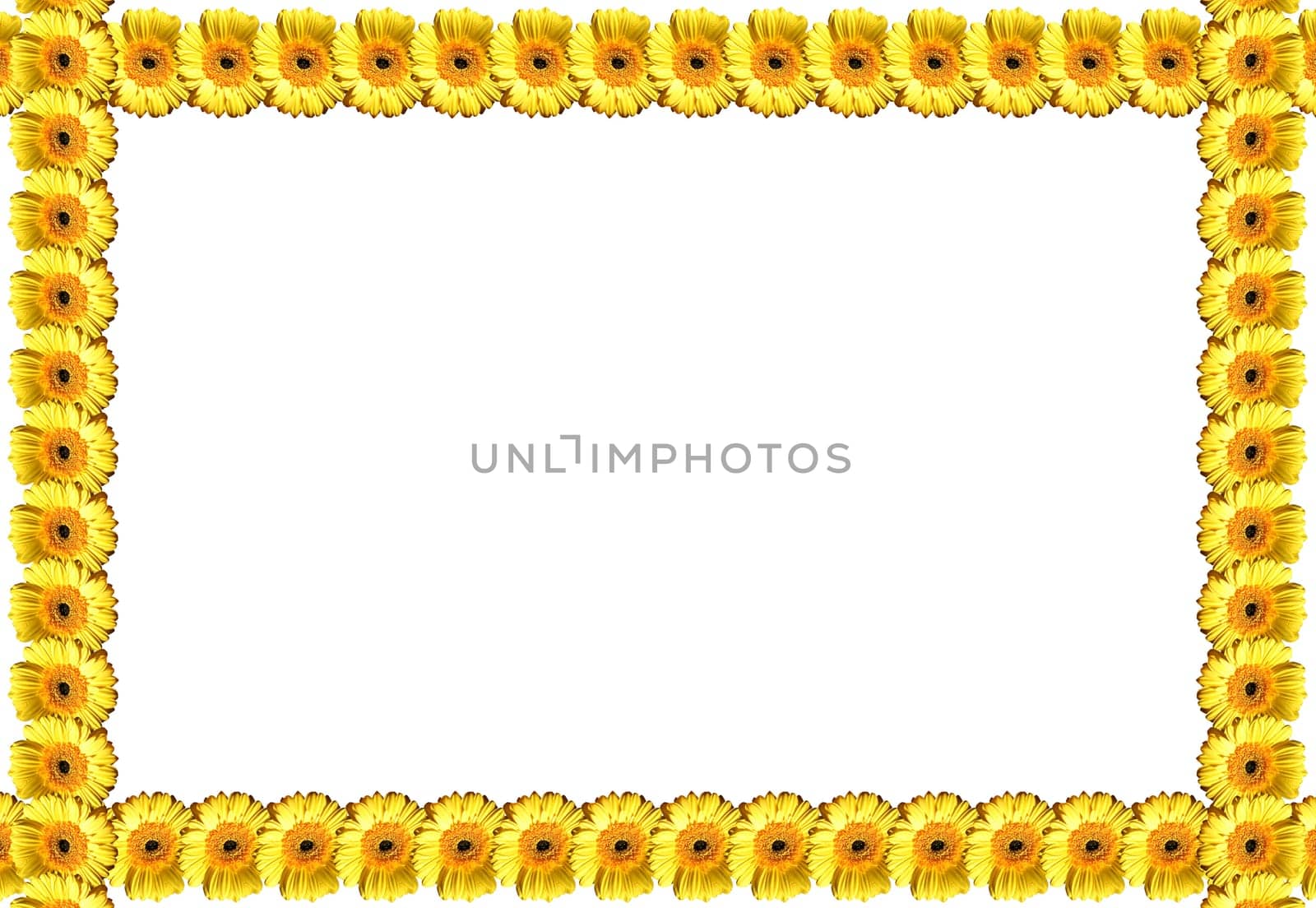 beautiful flowers abstract texture background