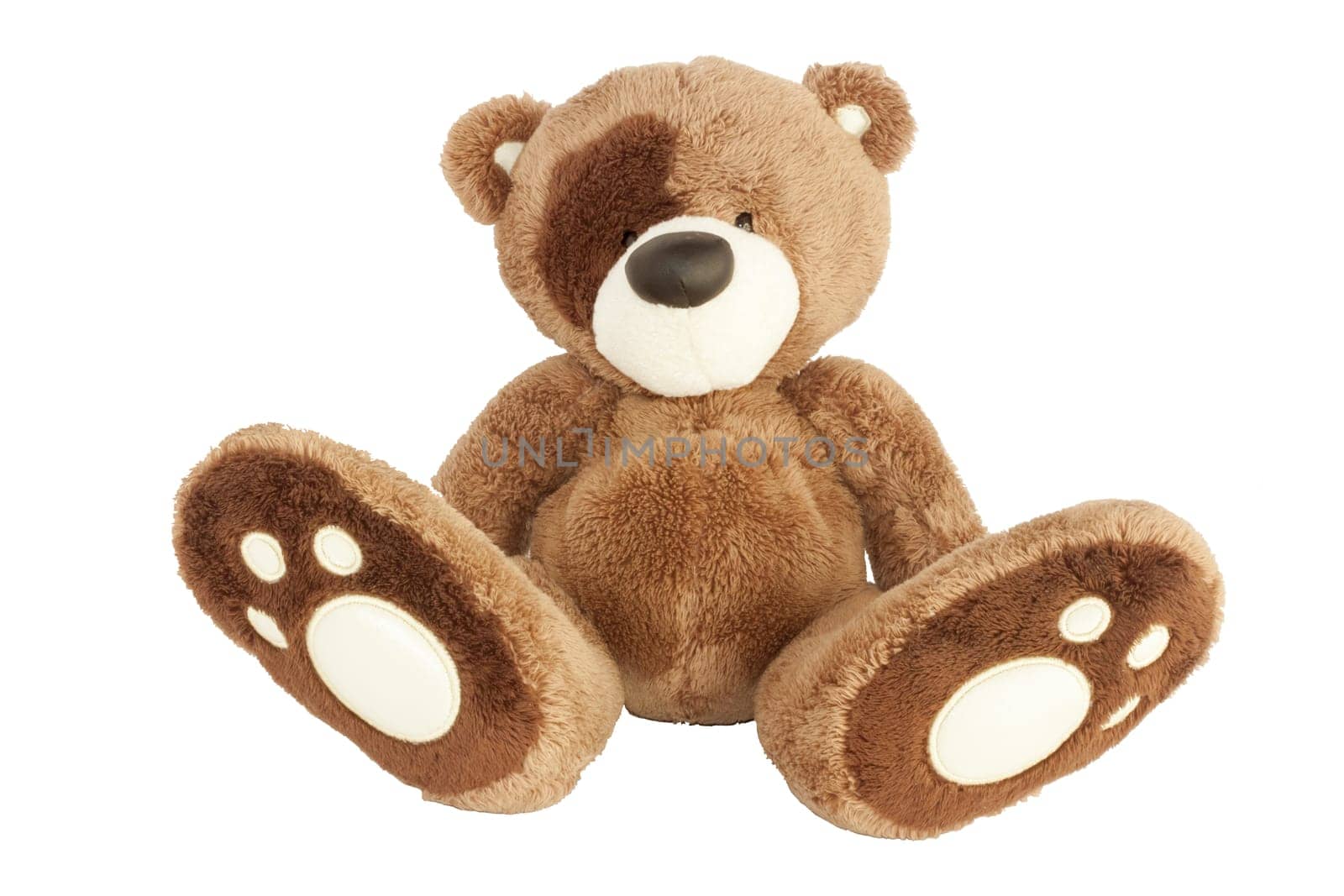 isolated brown teddy bear sitting on white background