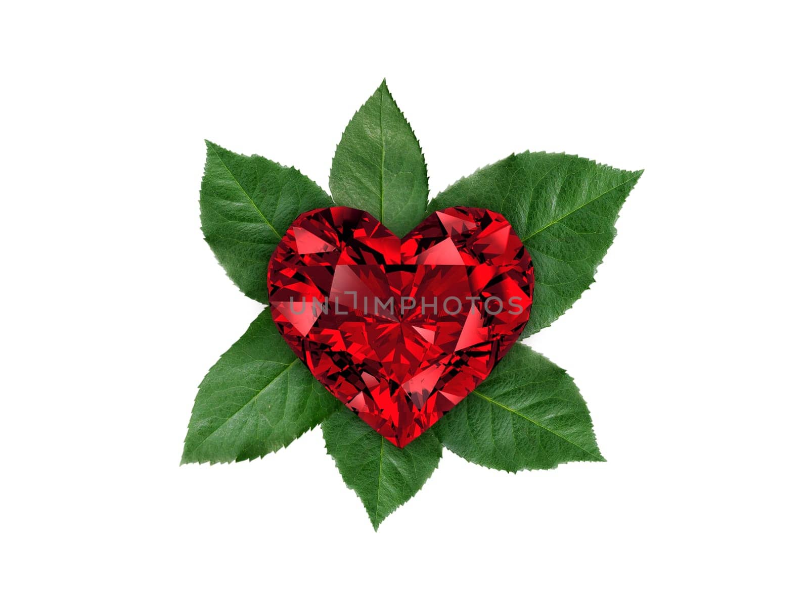 Heart shaped diamond on rose leaves