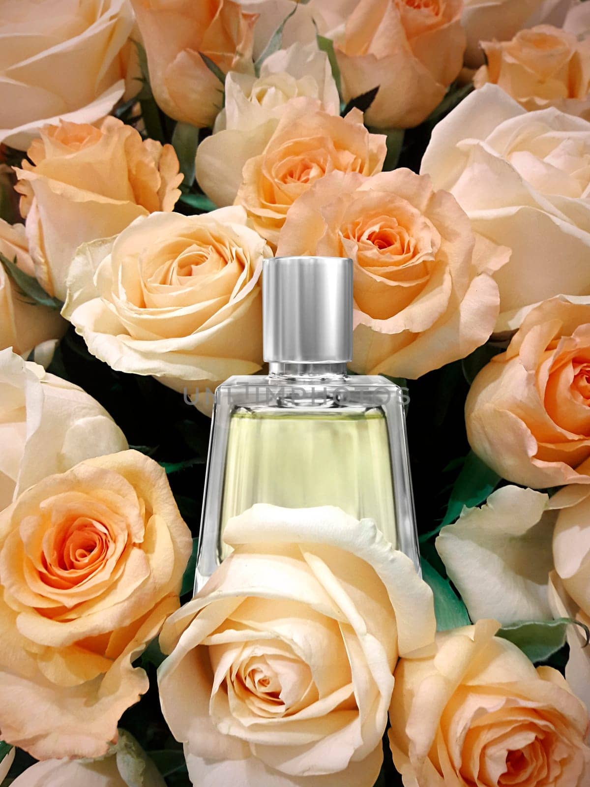 Perfume bottle on roses wall background colorful