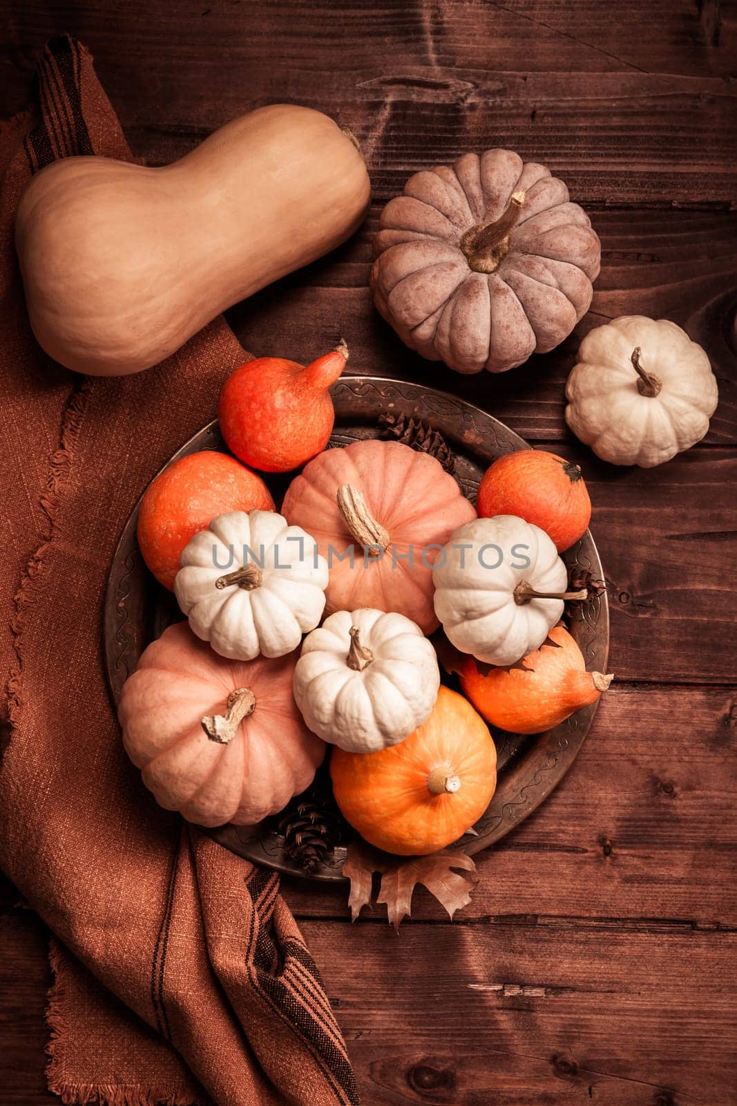 Autumn still life with assorted pumpkins on wooden surface in vintage style