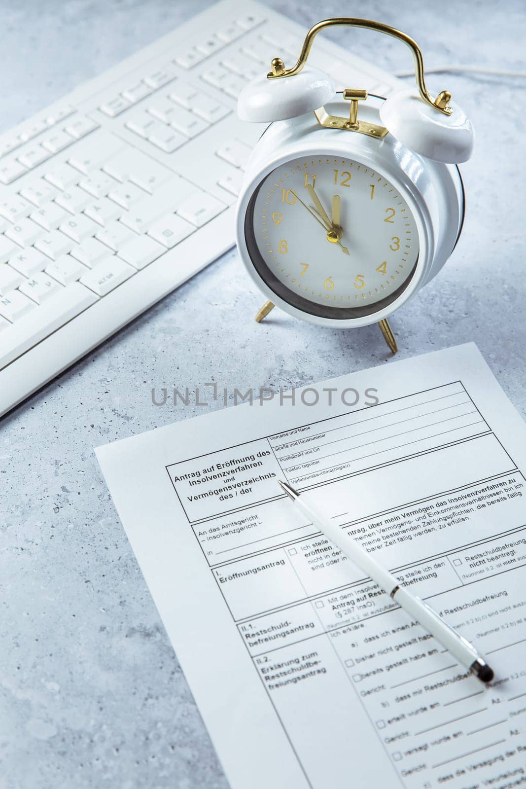 Insolvency - filling official German document to apply to court about an insolvency issue