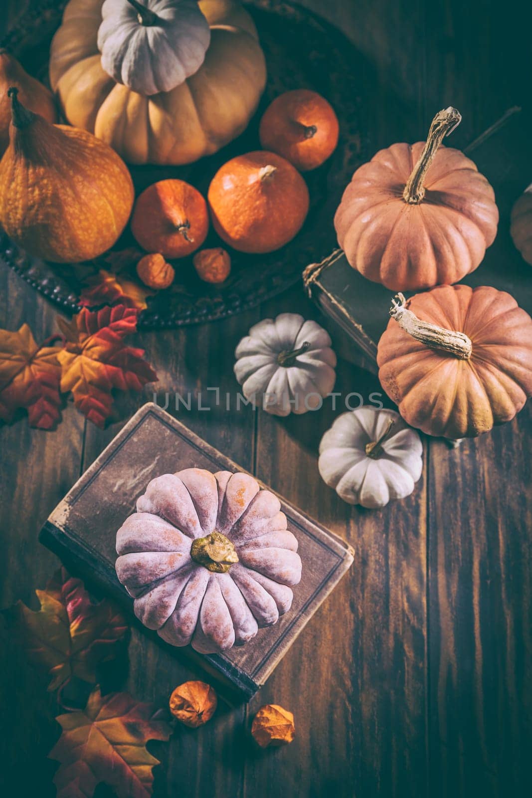 Rustic autumn still life with different pumpkins on wooden surface in vintage style