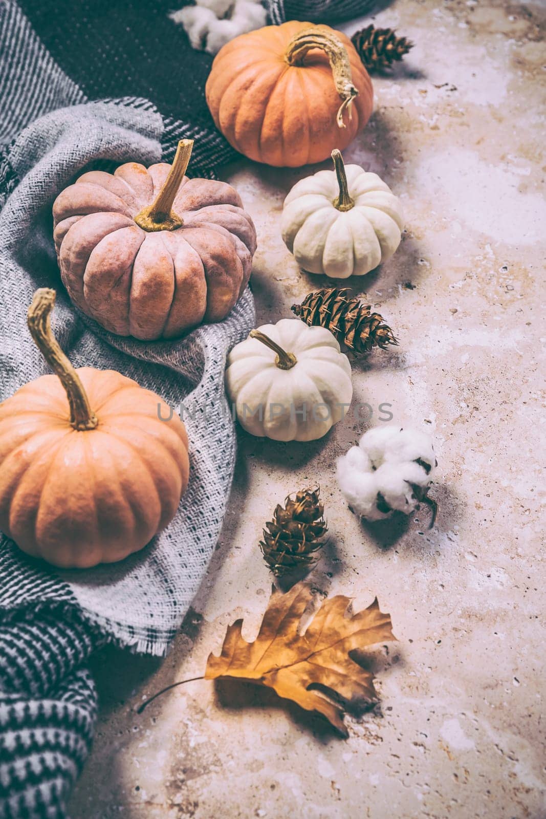 Happy Thanksgiving concept. Autumn composition with ripe pumpkins, fallen leaves, dry flowers, blanket on rustic background. Flat lay, top view, copy space