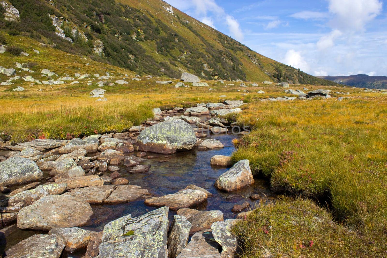 A clear mountain stream on the green meadows in the Austrian Alps, Steiermark, Austria