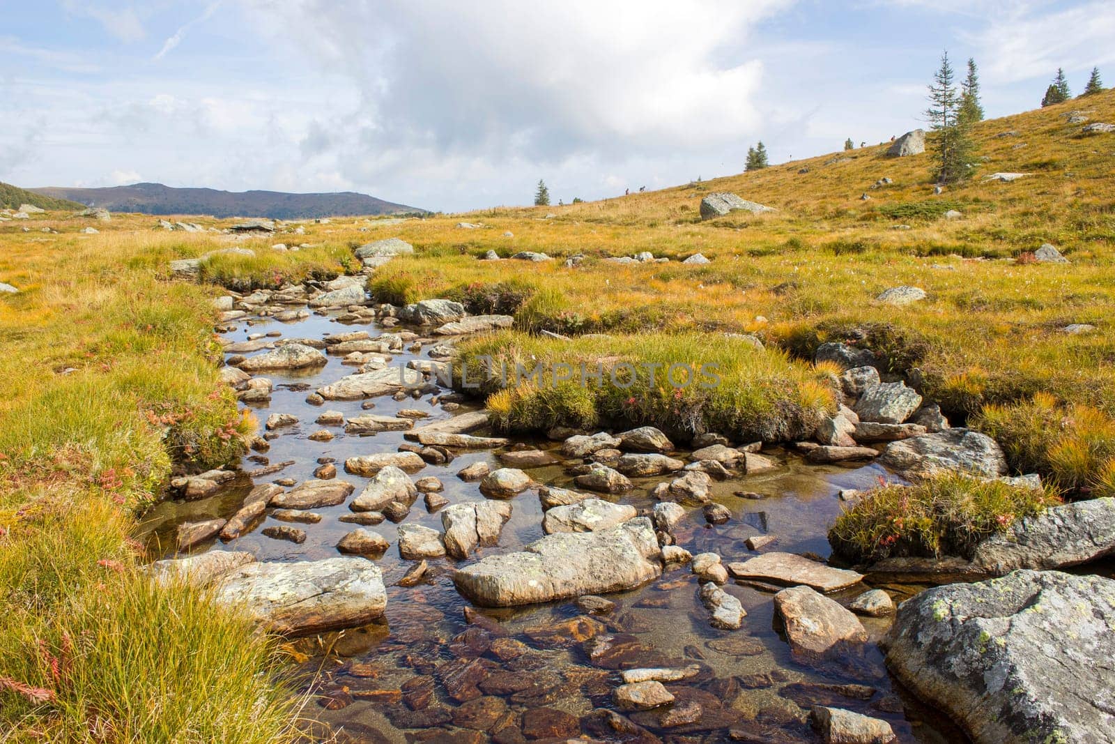 A clear mountain stream on the green meadows in the Austrian Alps, Steiermark, Austria