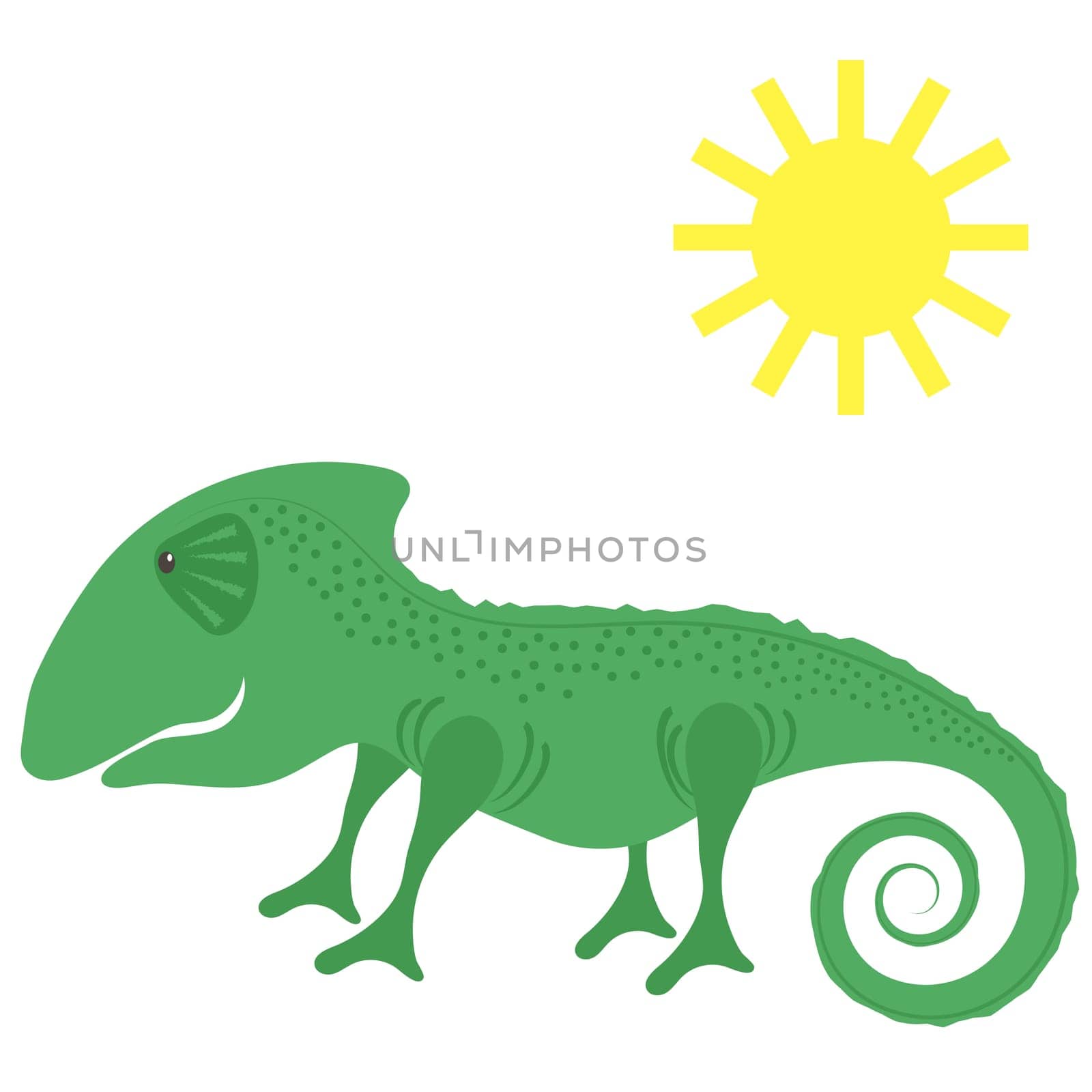 Green Chameleon and Sun Isolated on White Background.