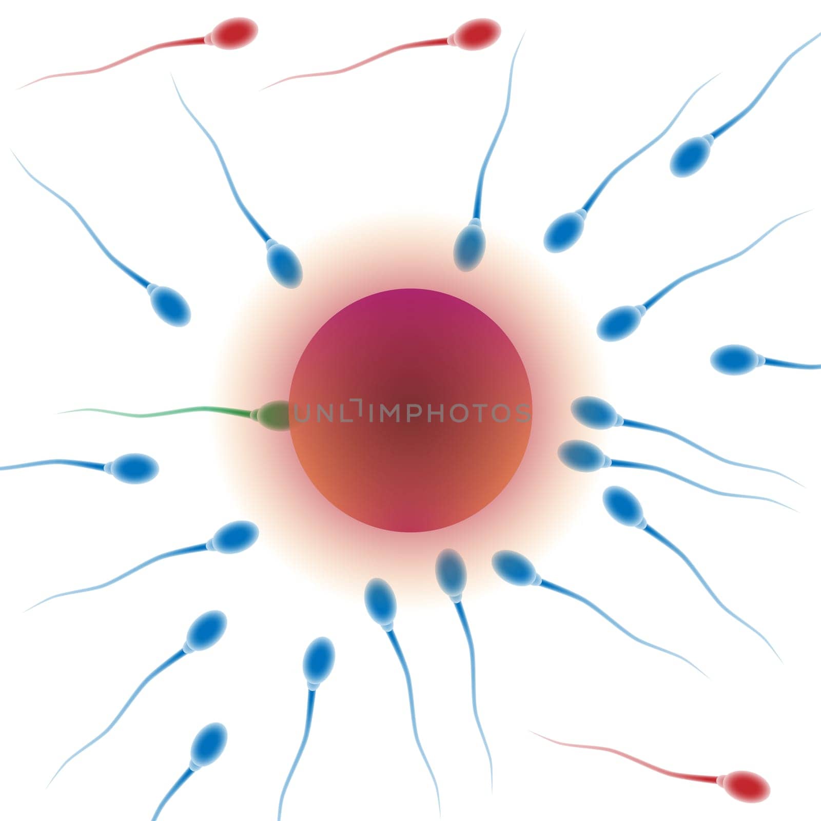 Illustration of conception a new life on a white background.