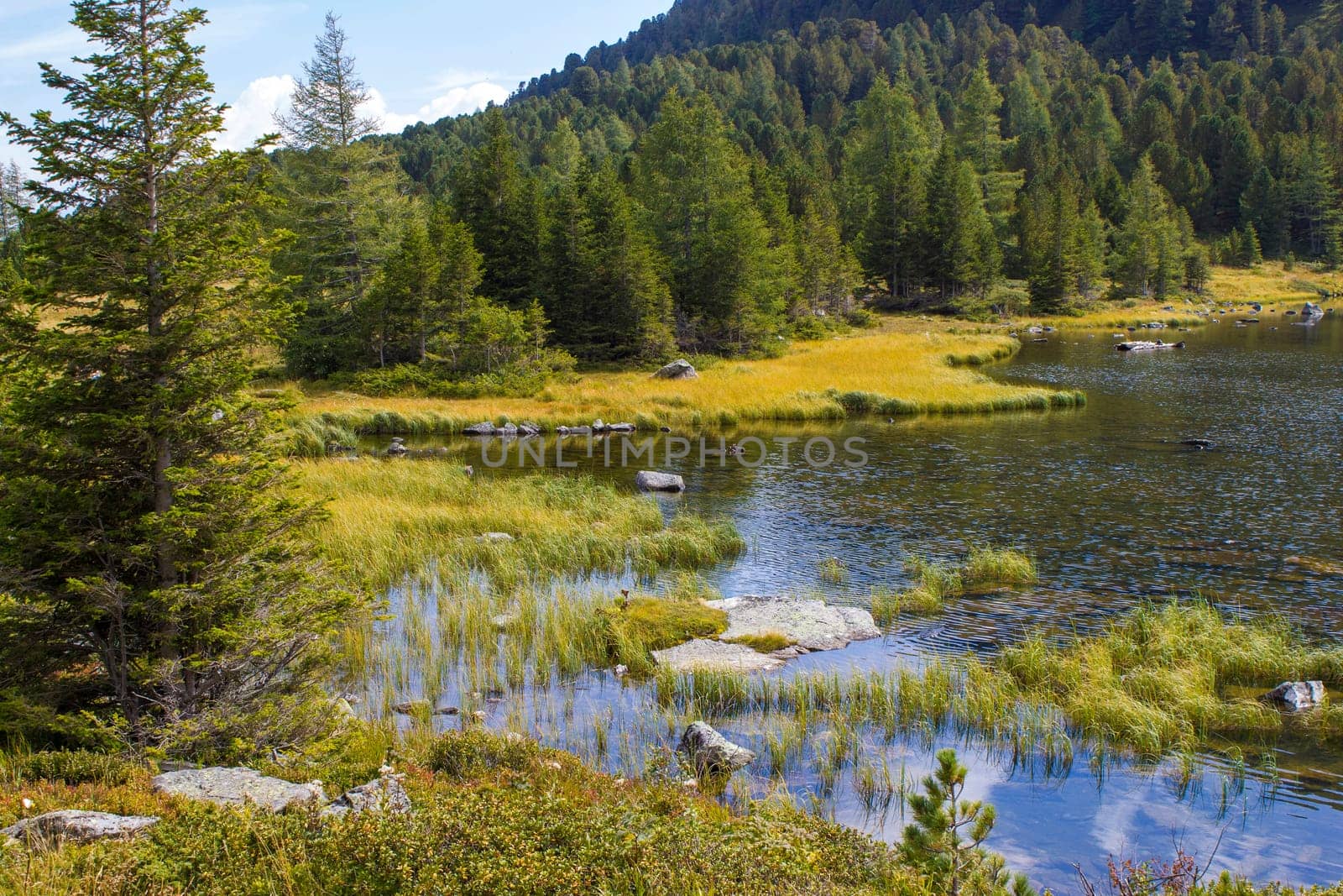 Landscape in Austian Alps, Steiermark, Austria