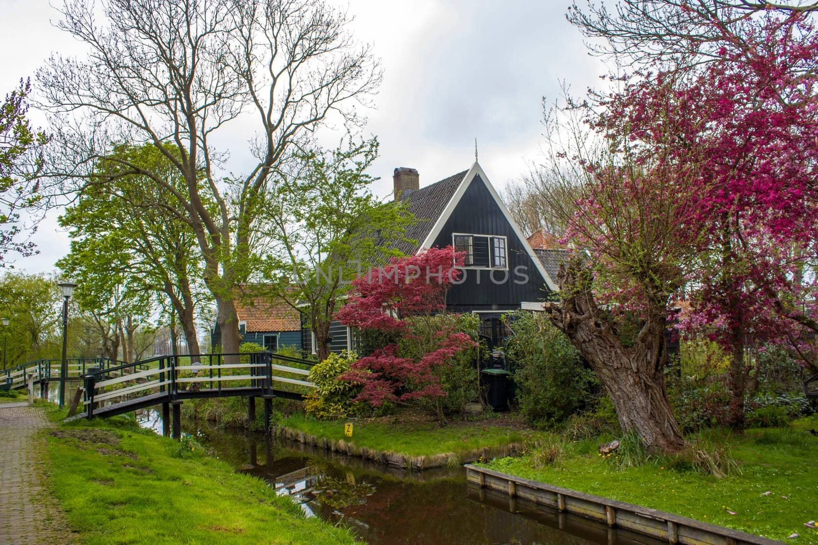Traditional Houses in the Historic Village of Zaanse Schans on the Zaan River in the Netherlands
