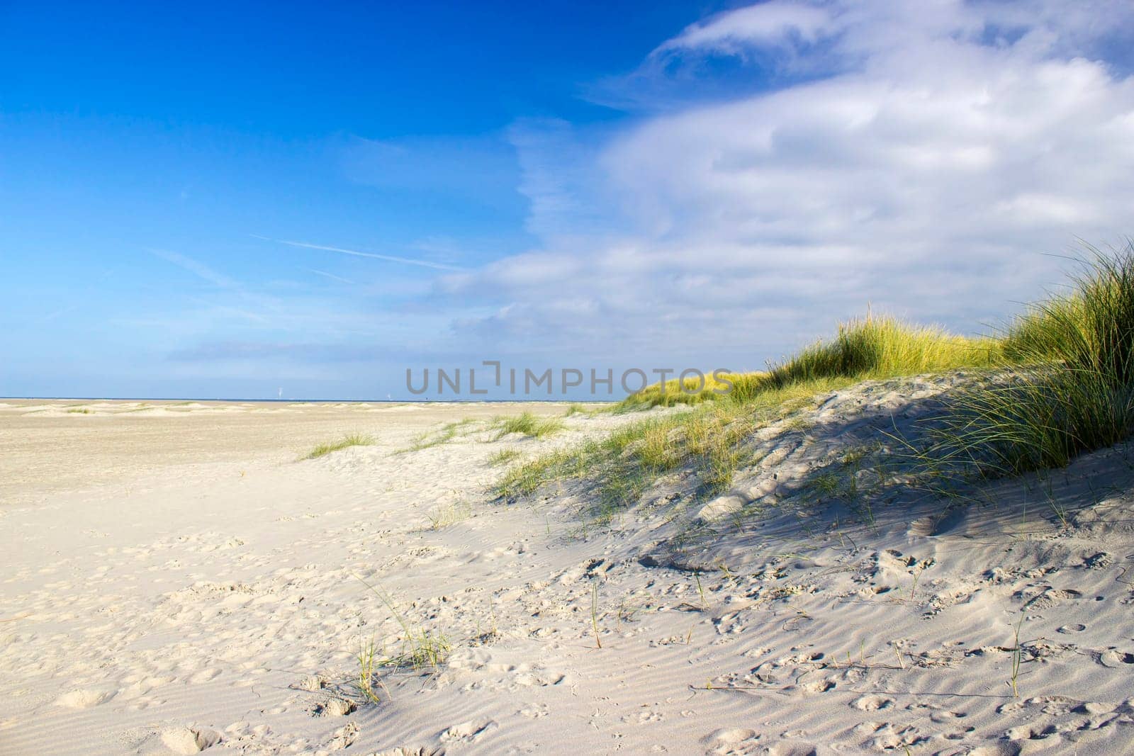 the dunes, Renesse, Zeeland, the Netherlands