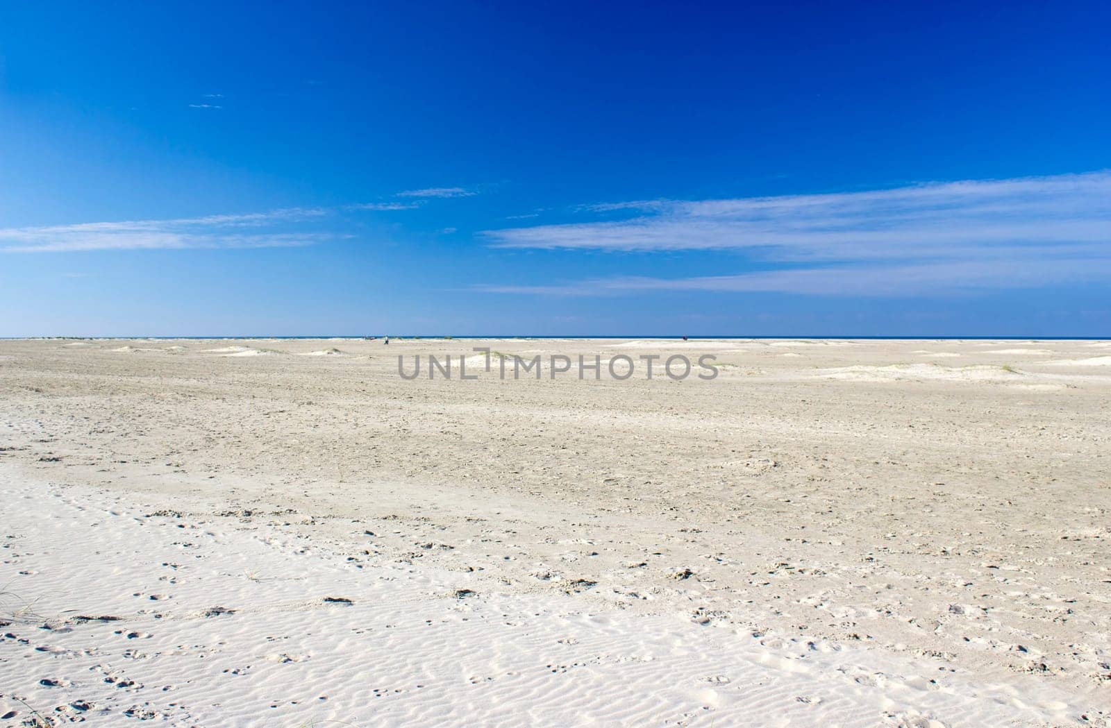 beach in Renesse, Netherlands