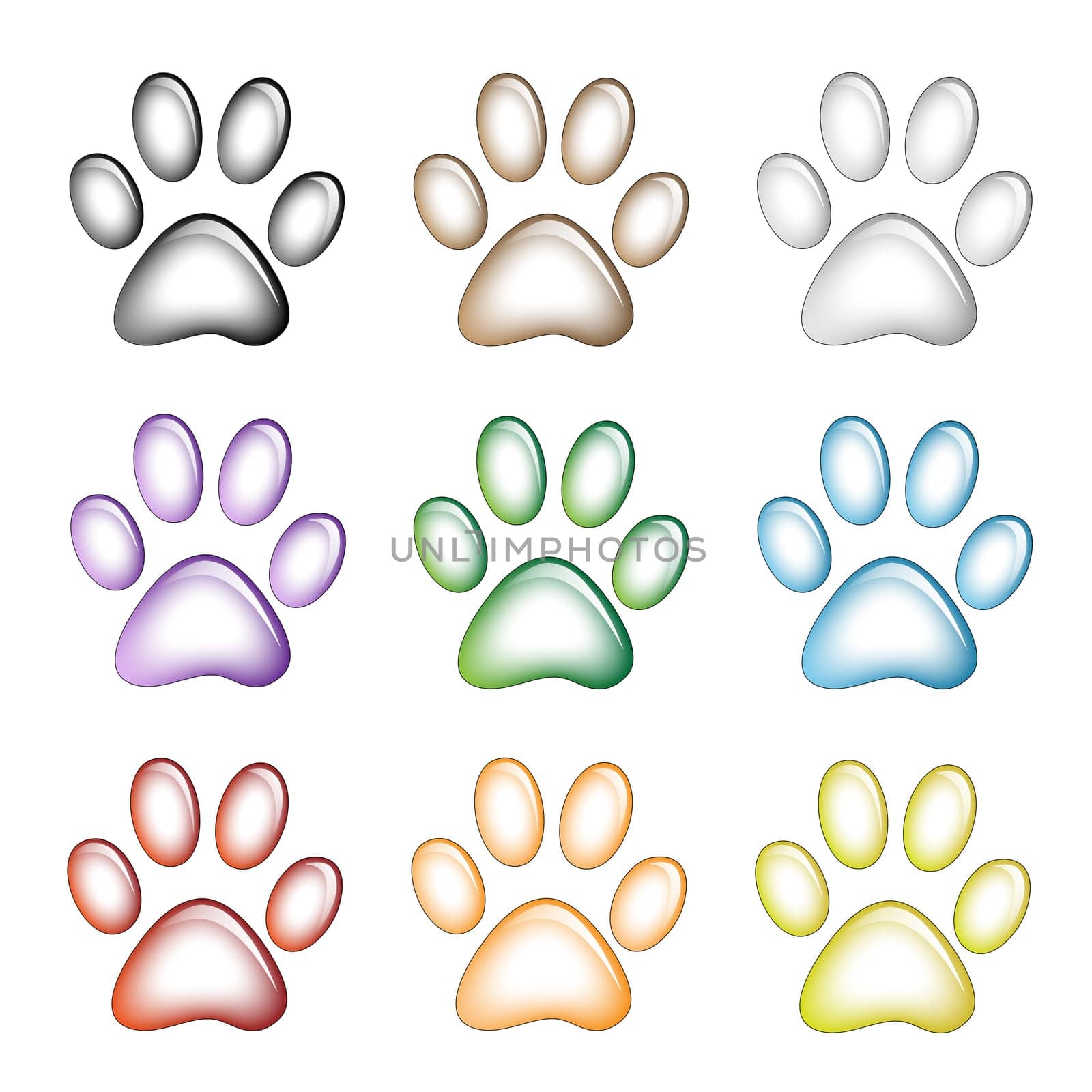 Illustration paw prints dogs in different colors.
