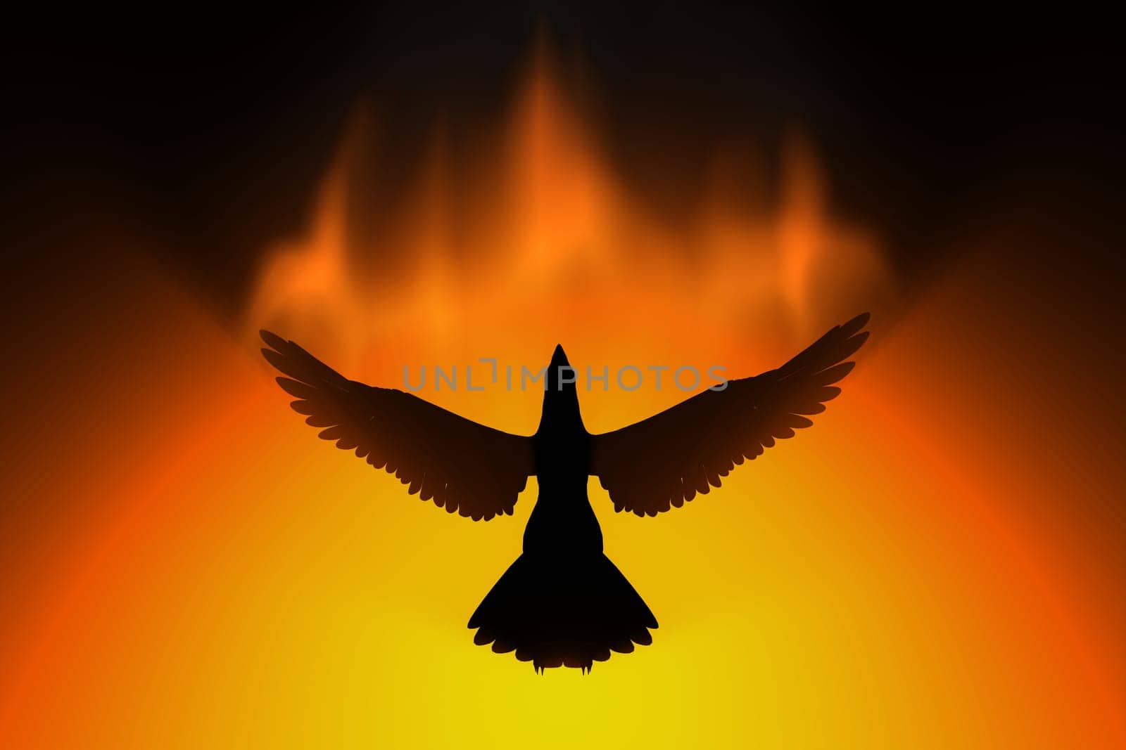 phoenix rising in fire 3d concept