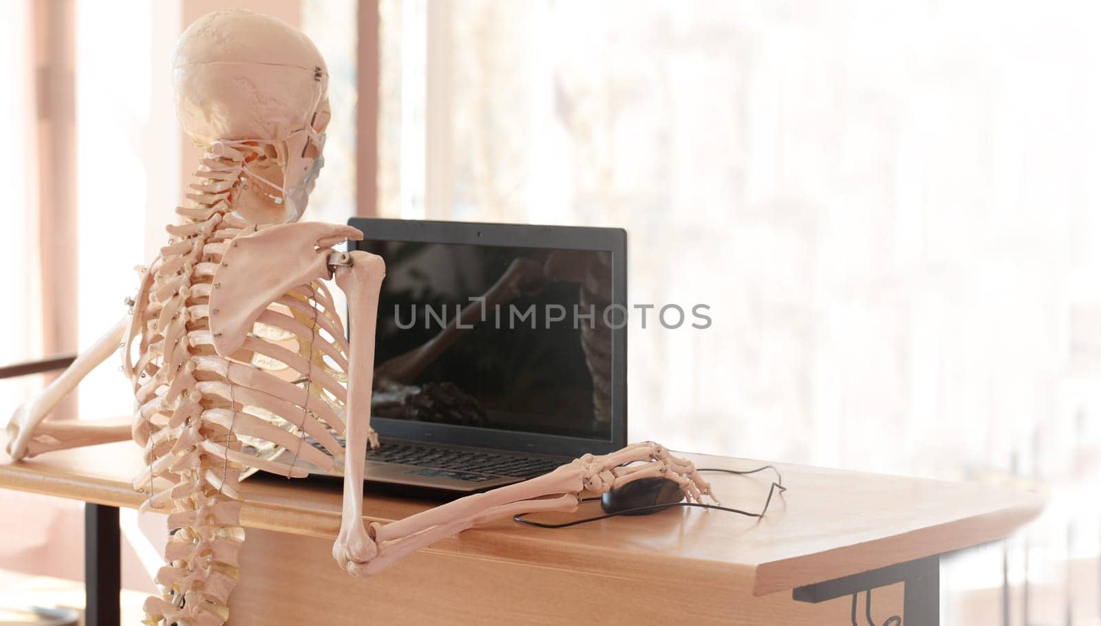 The skeleton in a medical mask using a computer in the office