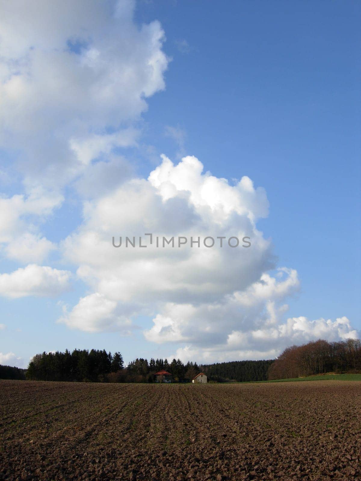 Field with house and cloud sky